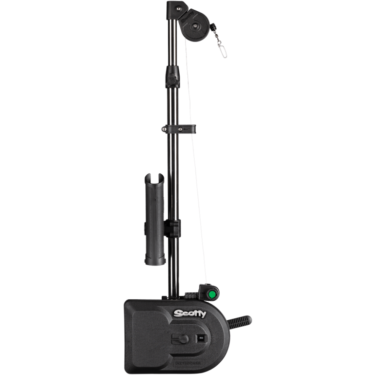 image (1).png