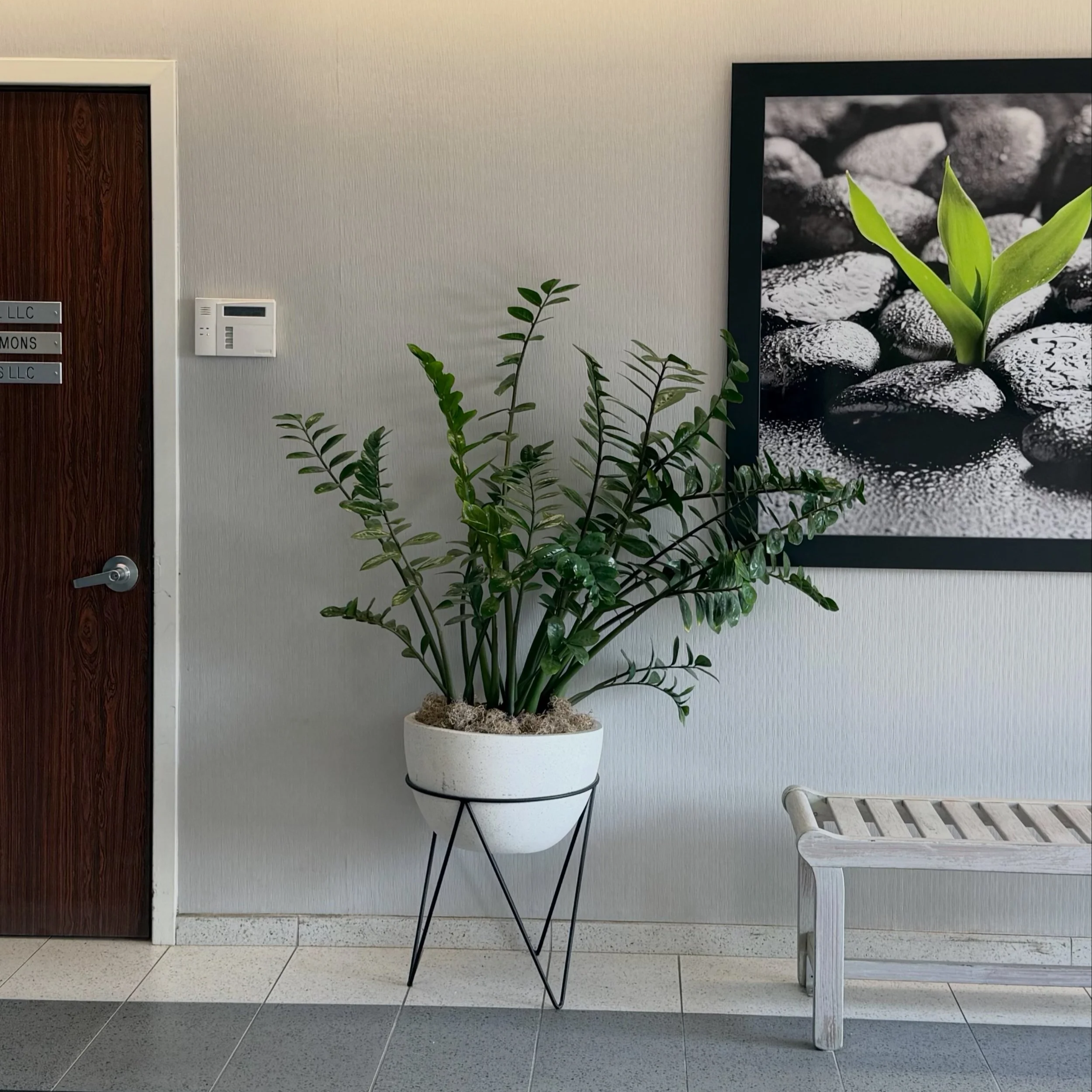 Plant, bench, Therapy bench, therapy in Beachwood, Ohio. Trailhead Thearpy