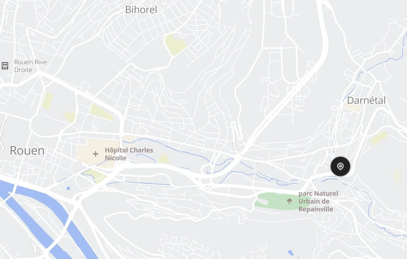 Carte de la ville de Rouen, en France, avec des quartiers, un hôpital, un parc naturel, et un point ciblé à l'est de la ville.