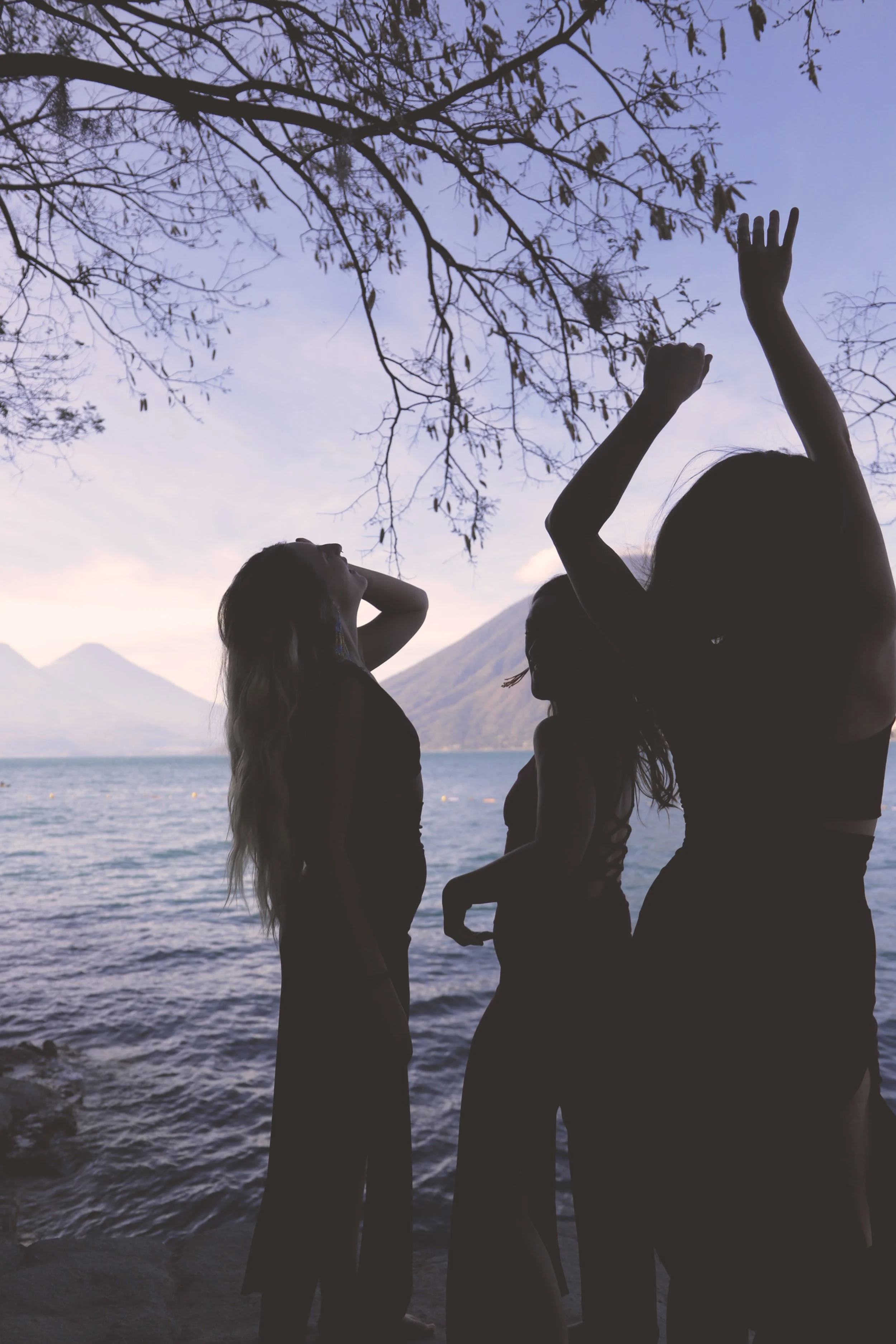 Silhouettes of three women standing near a lake with mountains in the background during sunset, with tree branches overhead.