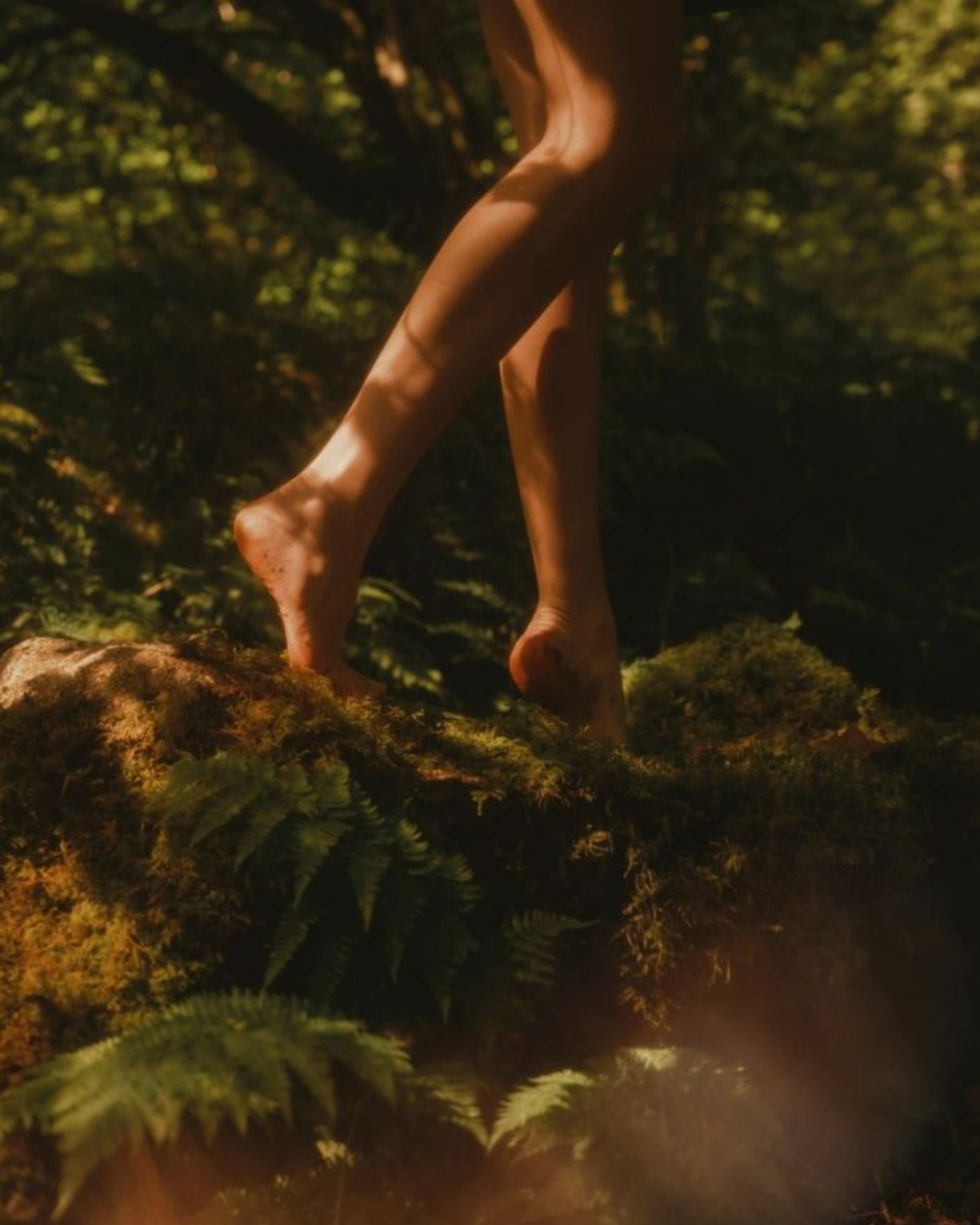 Close-up of legs walking through a forest, illuminated by warm sunlight filtering through the leaves.