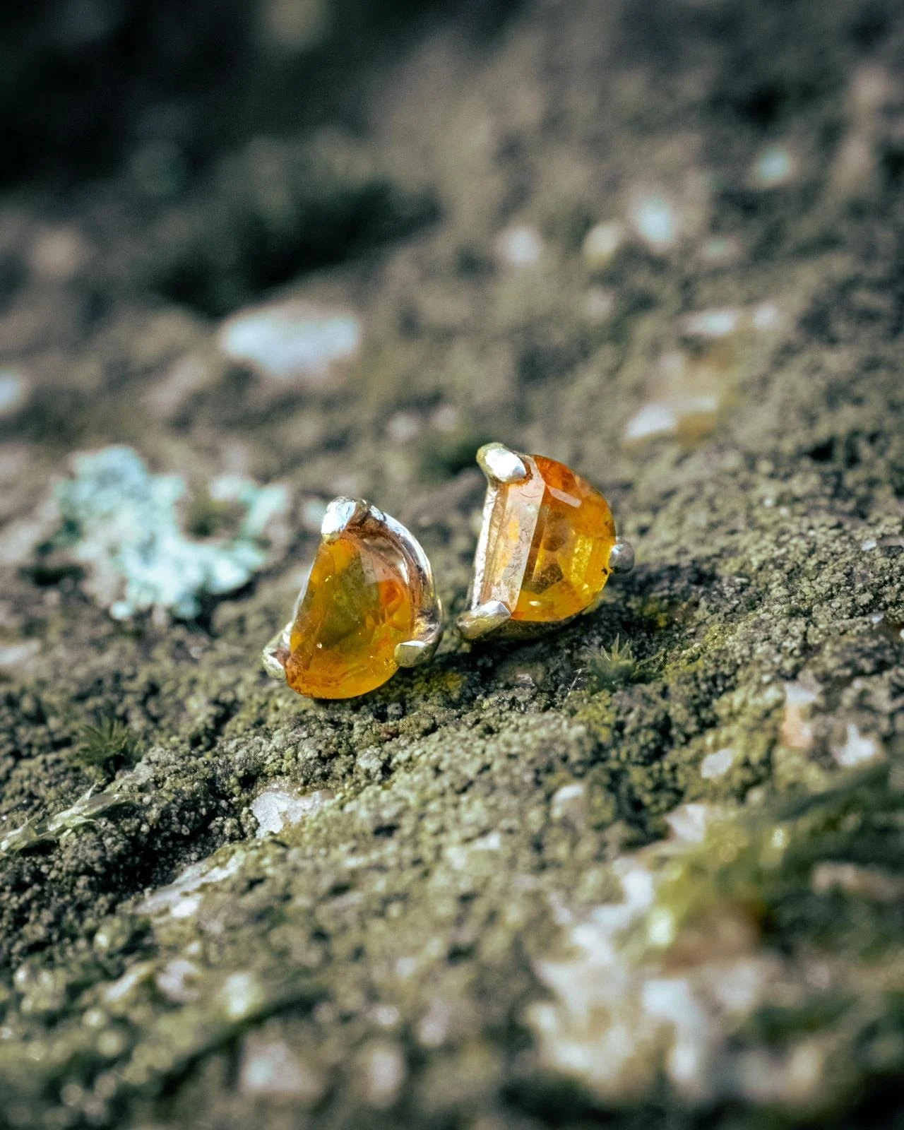 Close-up of two amber-colored gemstones set in silver prongs on a textured, mossy surface with small scattered white and green patches.