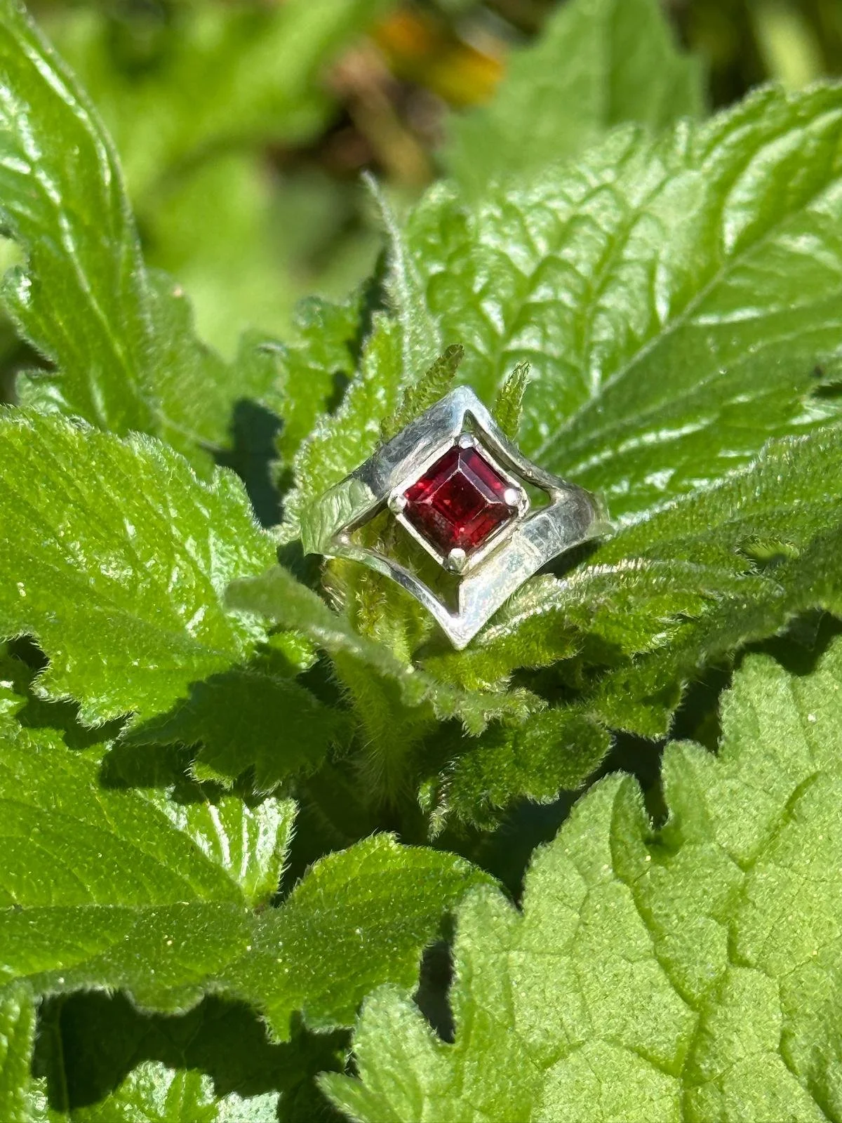 A silver ring with a square red gemstone, resting on green textured leaves.