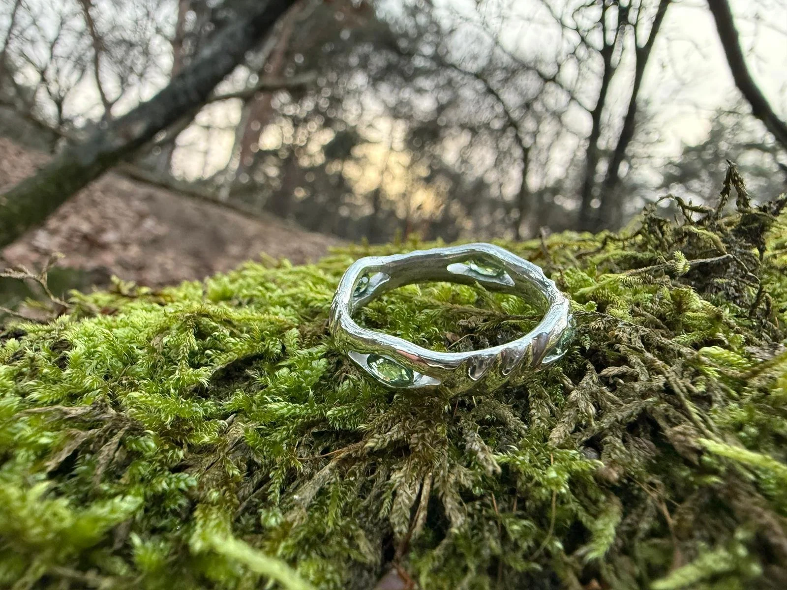 Close-up of a silver ring with holes on a mossy forest floor during daytime with trees and cloudy sky in the background.