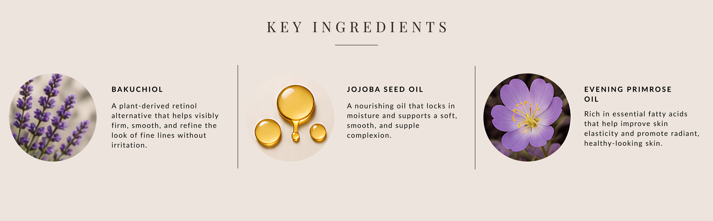 Information about key skincare ingredients: lavender lavender, jojoba seed oil, and evening primrose oil, with images of lavender flowers, jojoba oil droplets, and primrose flowers.
