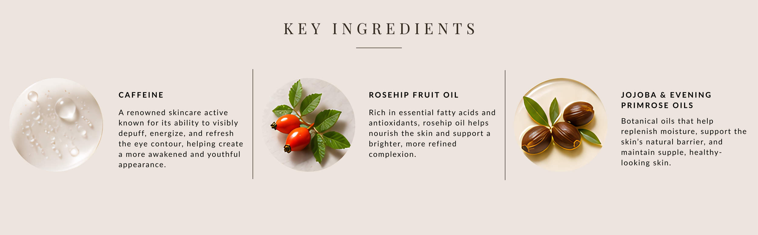 Infographic listing key skincare ingredients: caffeine, rosehip fruit oil, jojoba and evening primrose oils, with descriptions and images of each ingredient.