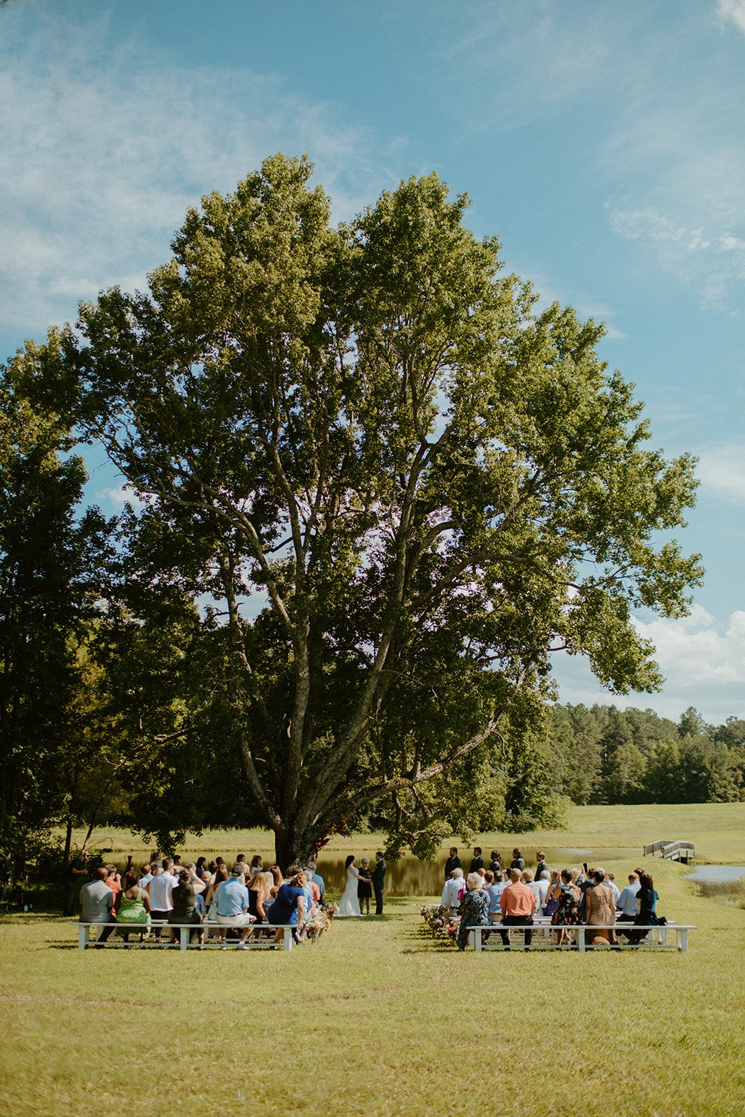 Outdoor wedding ceremony taking place under the ceremony tree at sable and vine a wedding and event venue in Stem, North Carolina