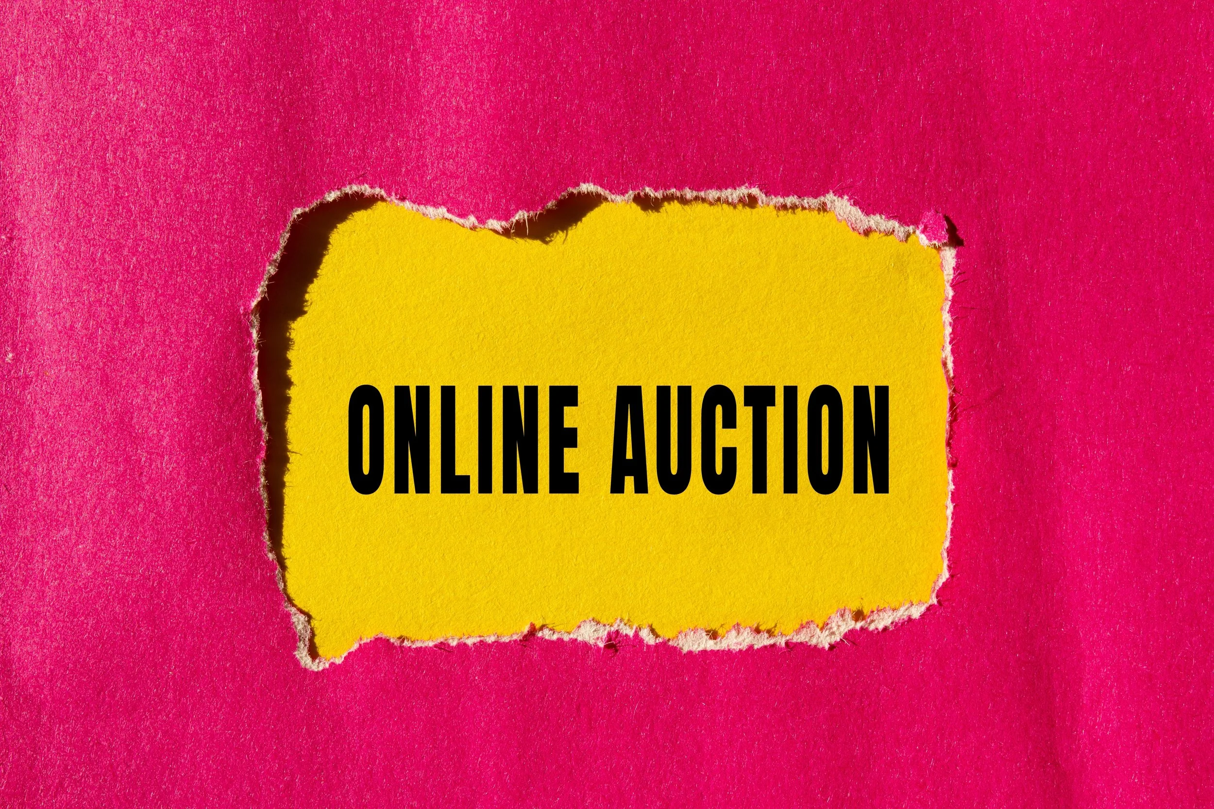Nov-Dec 2026: Online Auction 