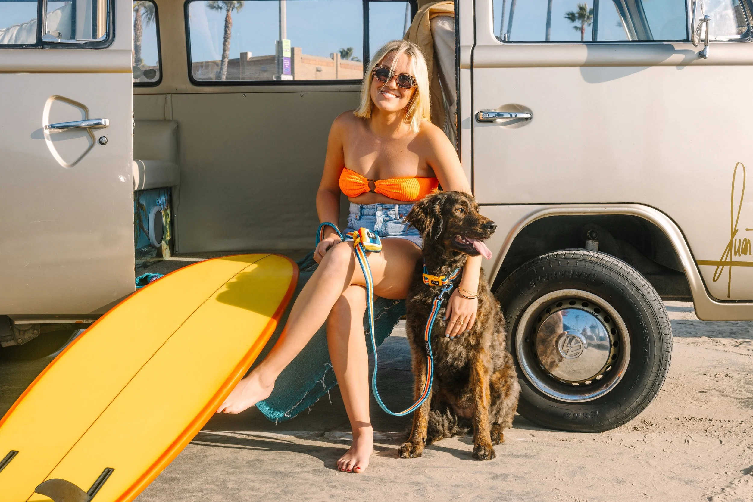 Southern California top rated dog photographer.JPG