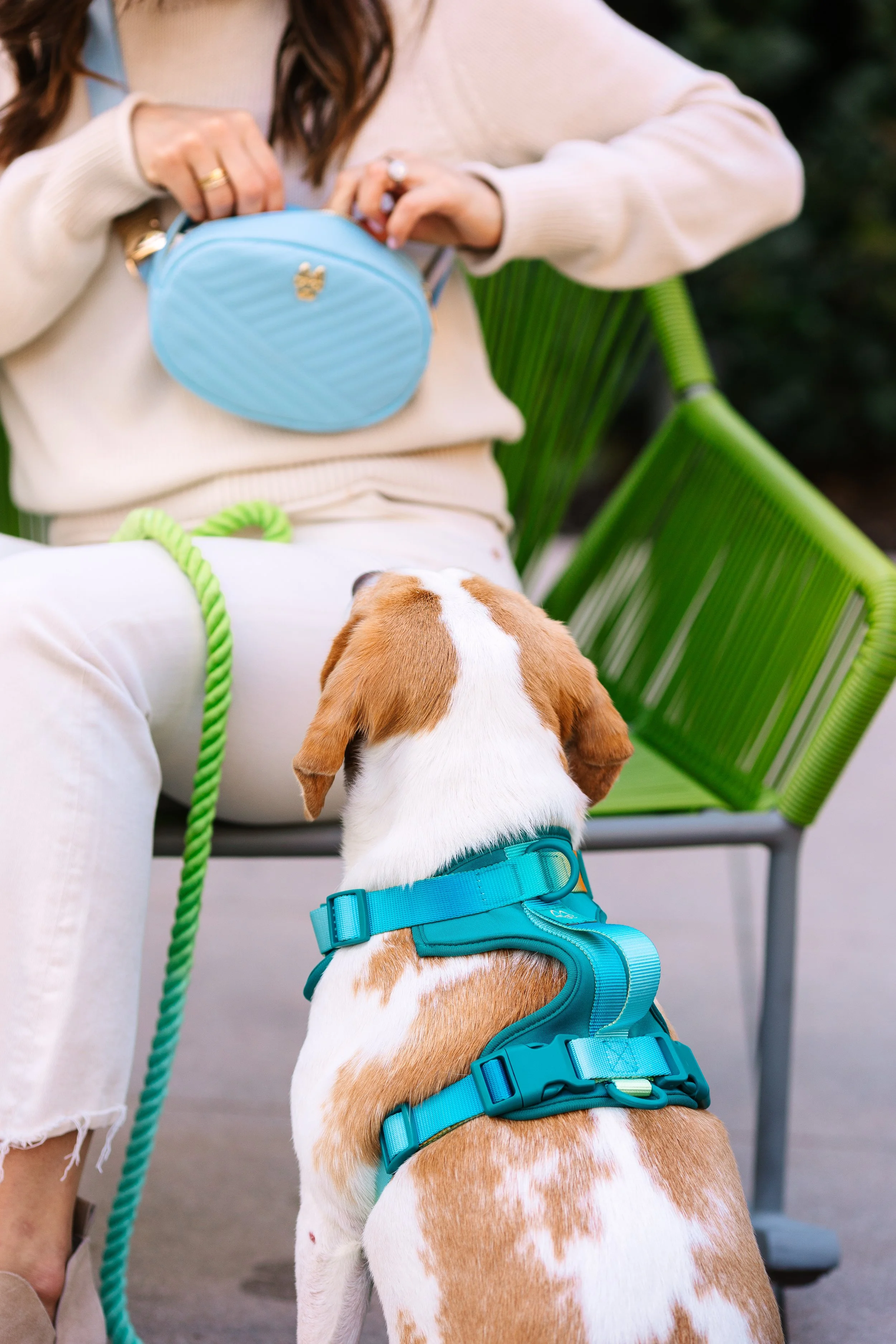 PP Harness Lifetsyle__0107.jpg