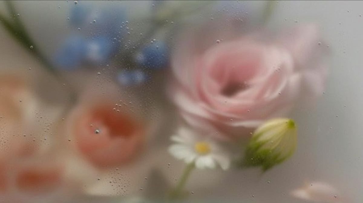 Flowers behind glass with water droplets, including pink roses and small white daisies.