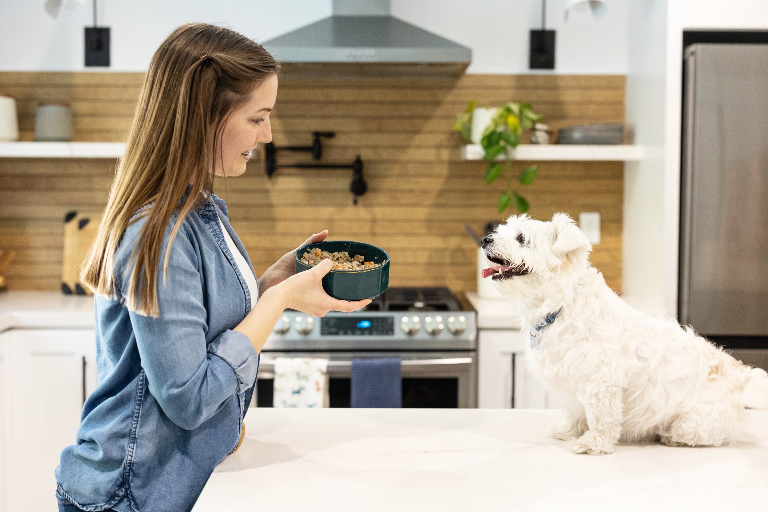 JustFoodForDogs Commercial Photographer4.jpg