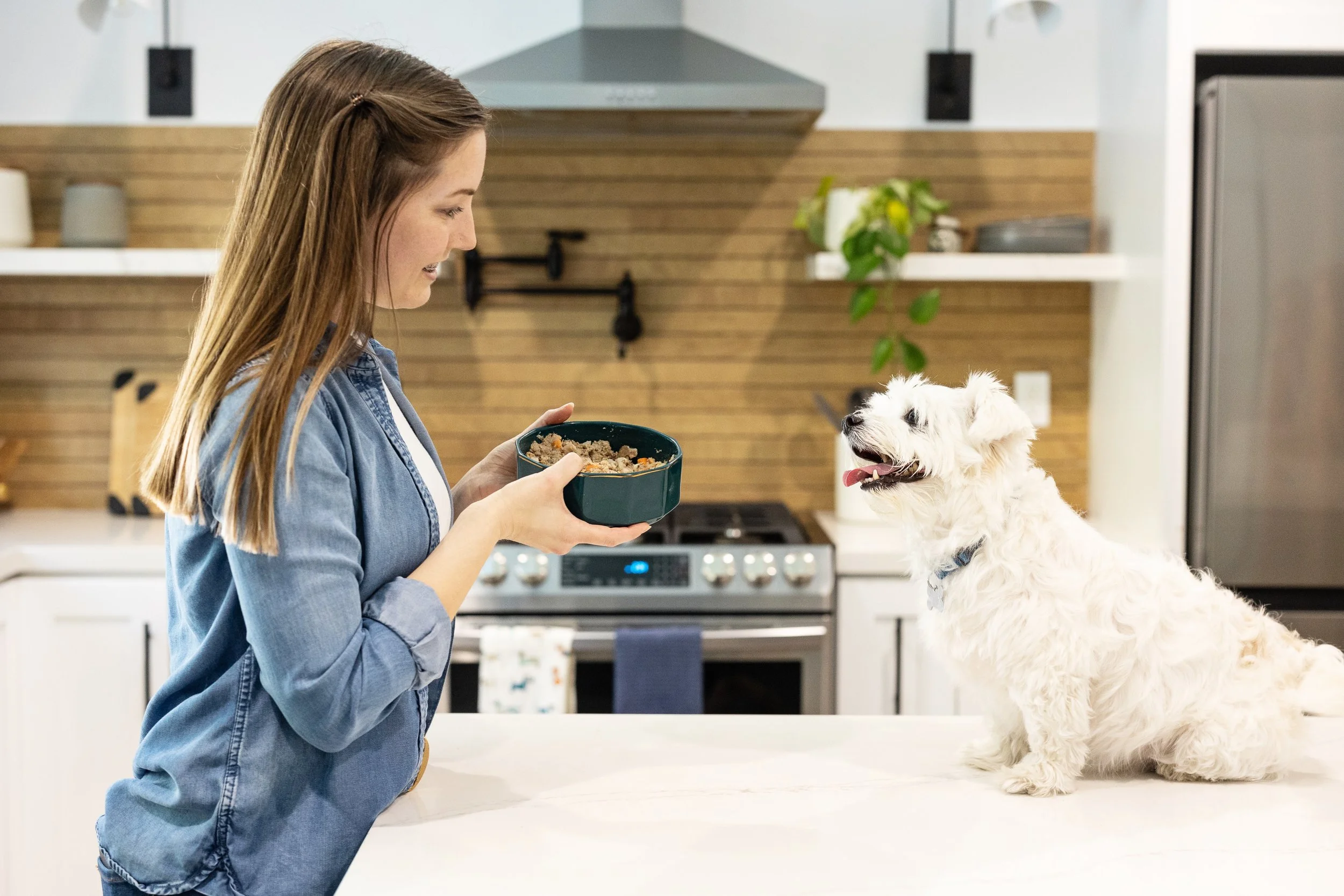 Behind the Scenes: Producing a Lifestyle Campaign for JustFoodForDogs