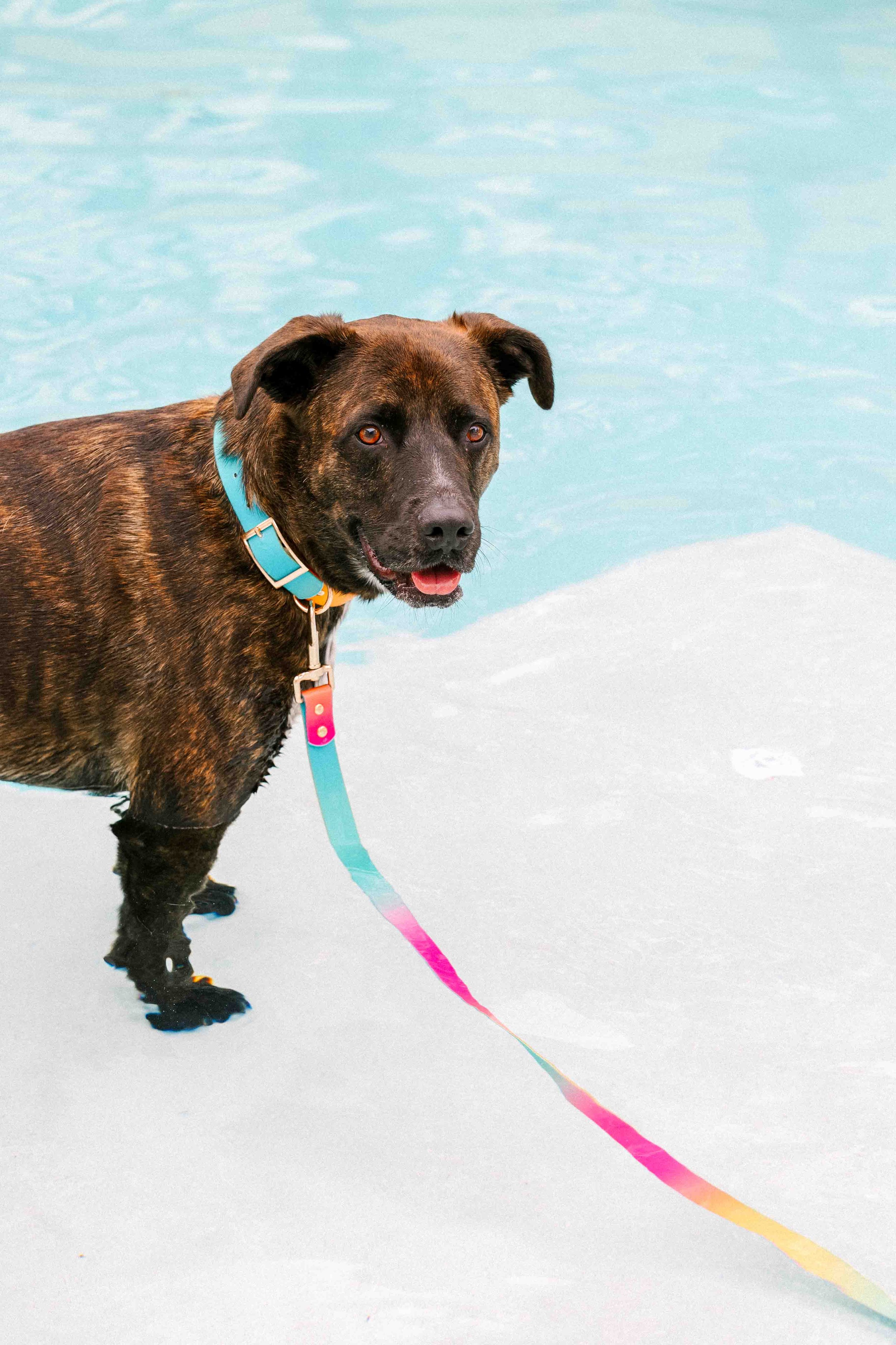 Palm Springs Pool Party Commercial Photoshoot_0052.jpg