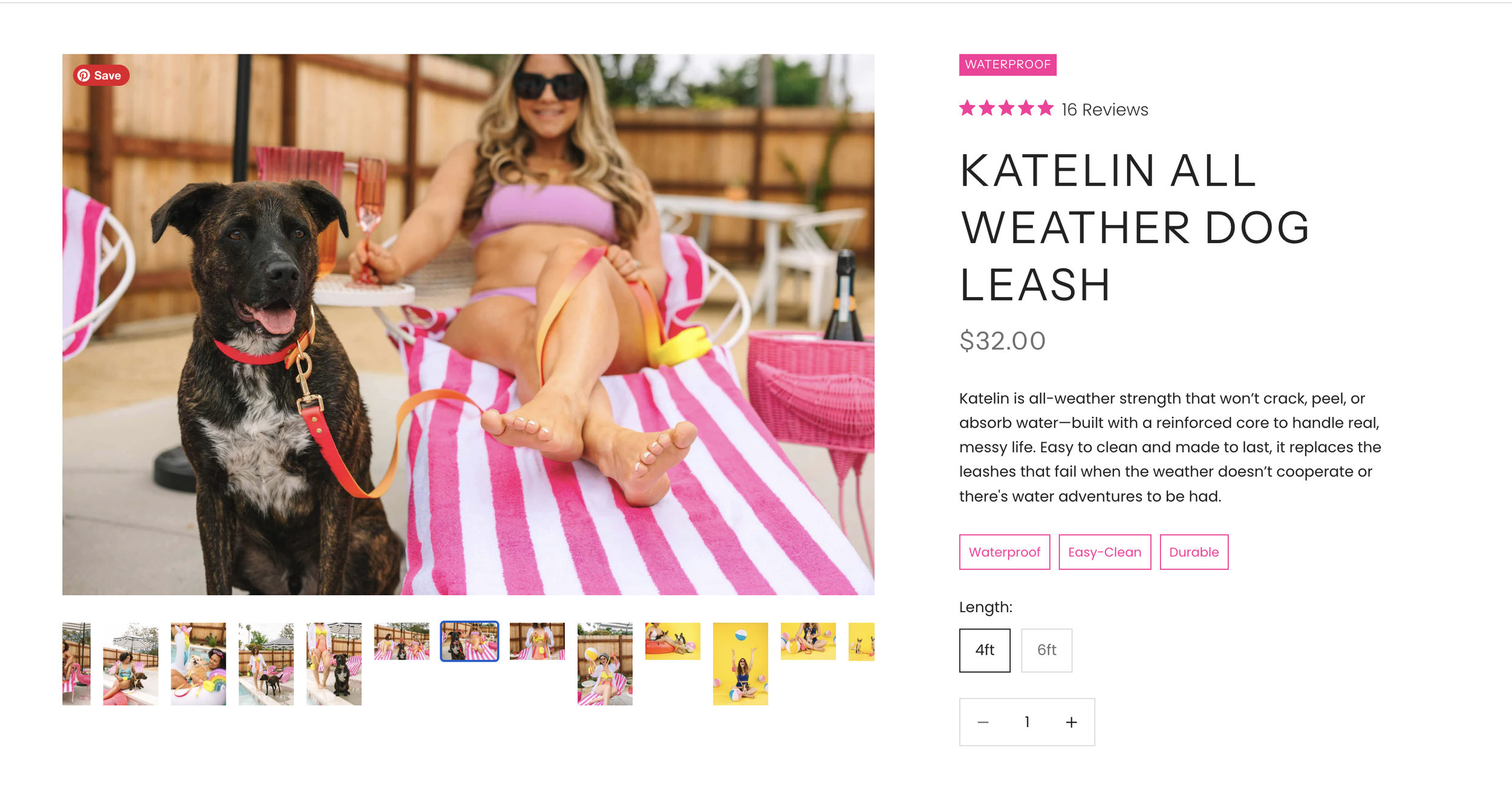 Katelin Leash 
