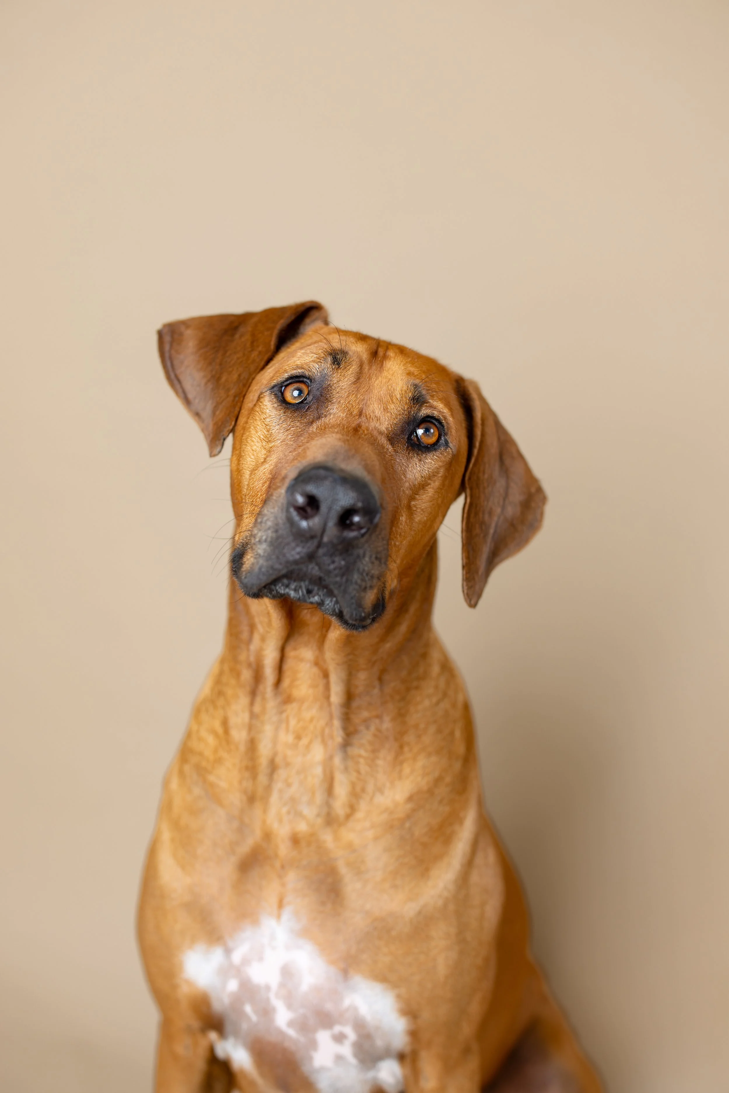 Winston Welch Salty Dog_0008.JPG