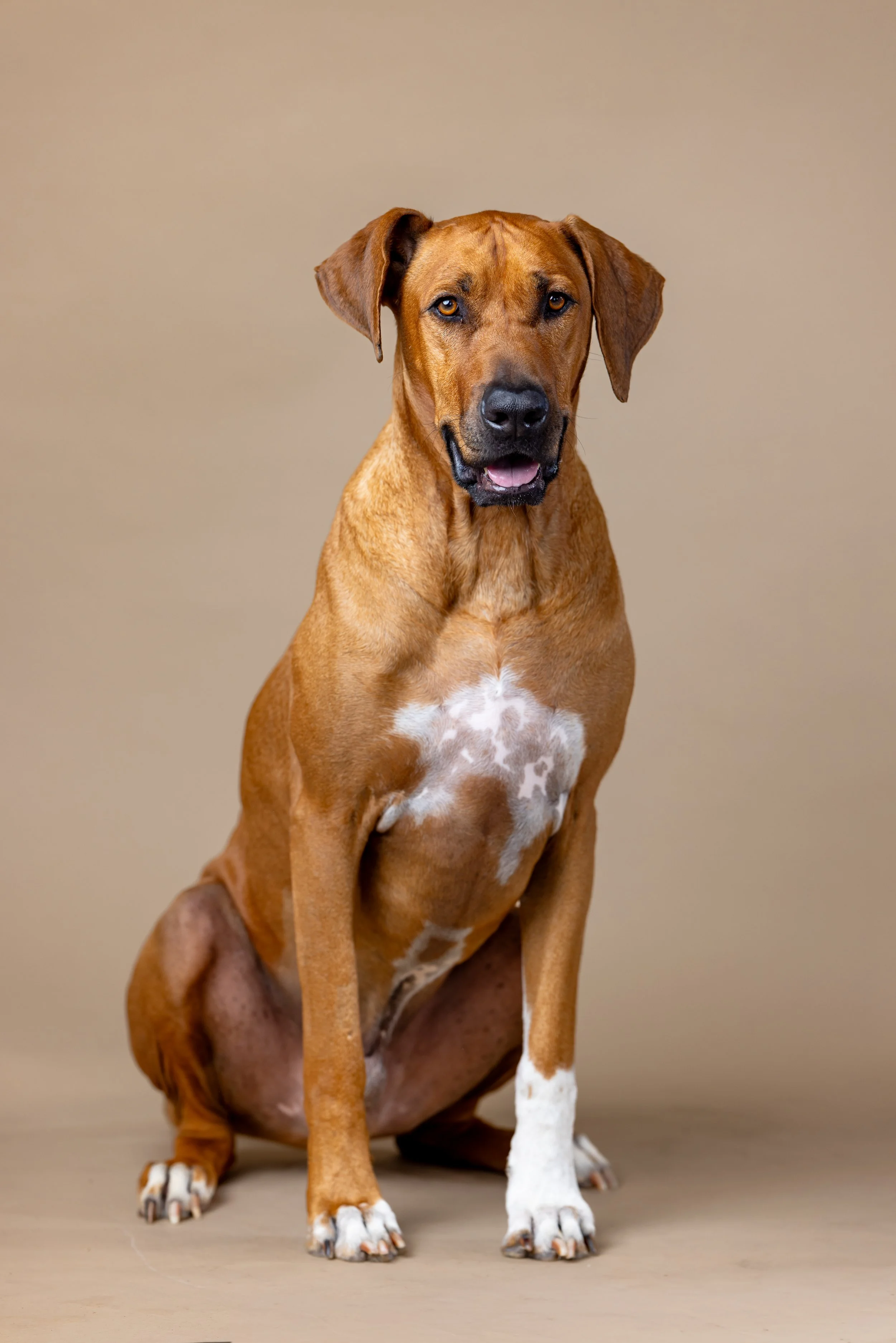 Winston Welch Salty Dog_0044.JPG