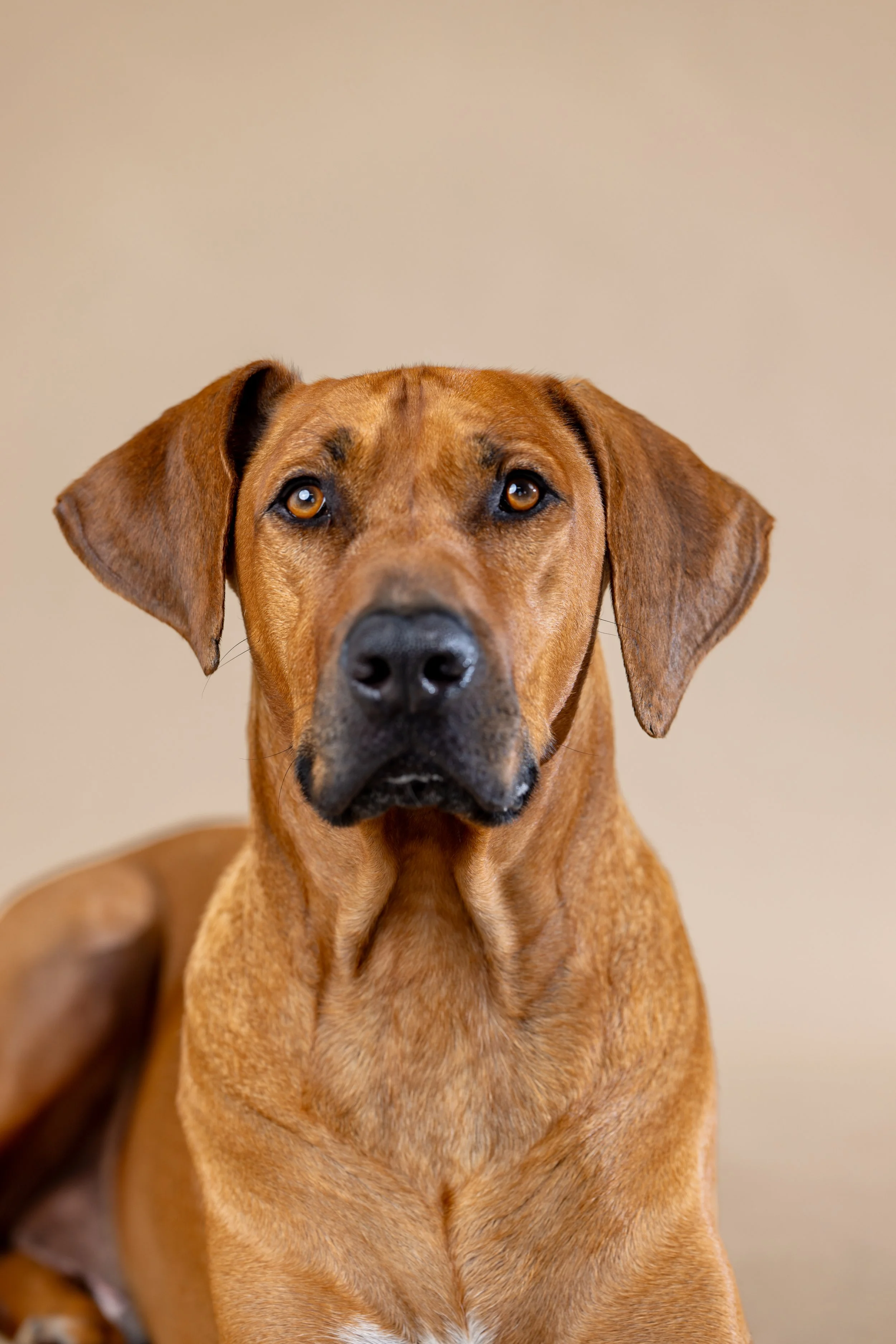 Winston Welch Salty Dog_0035.JPG