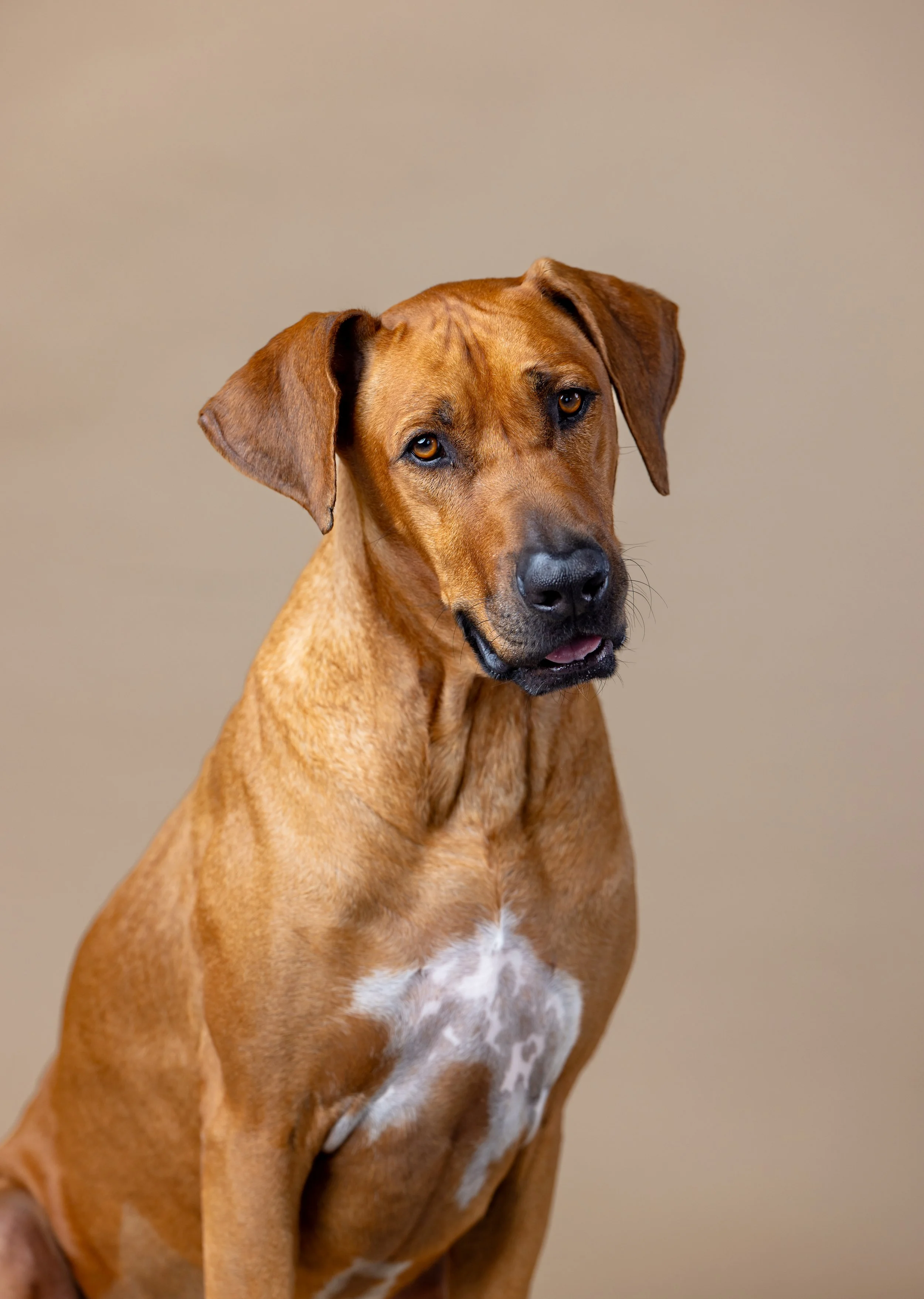 Winston Welch Salty Dog_0046.JPG