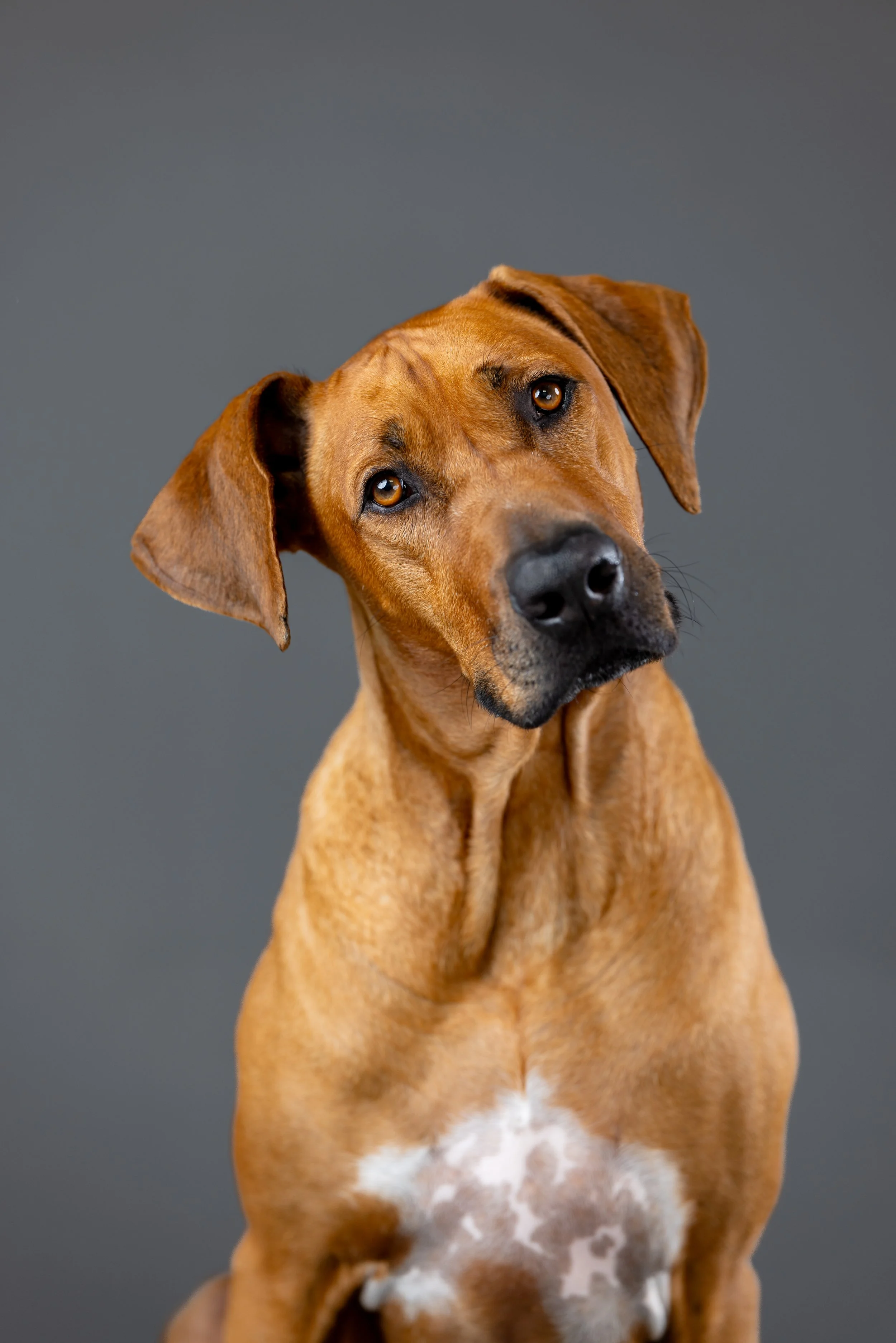 Winston Welch Salty Dog_0126.JPG