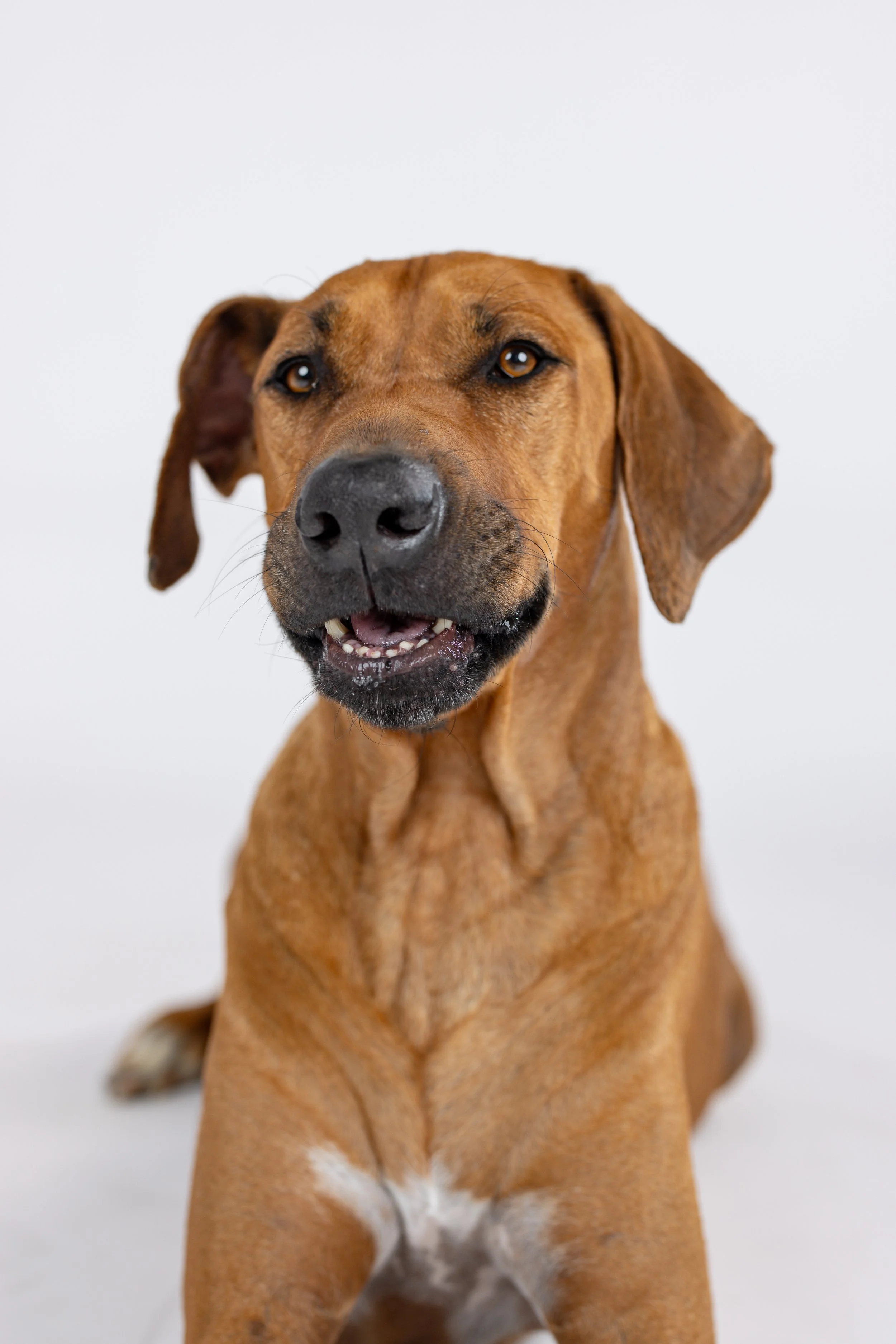 Winston Welch Salty Dog_0151.JPG