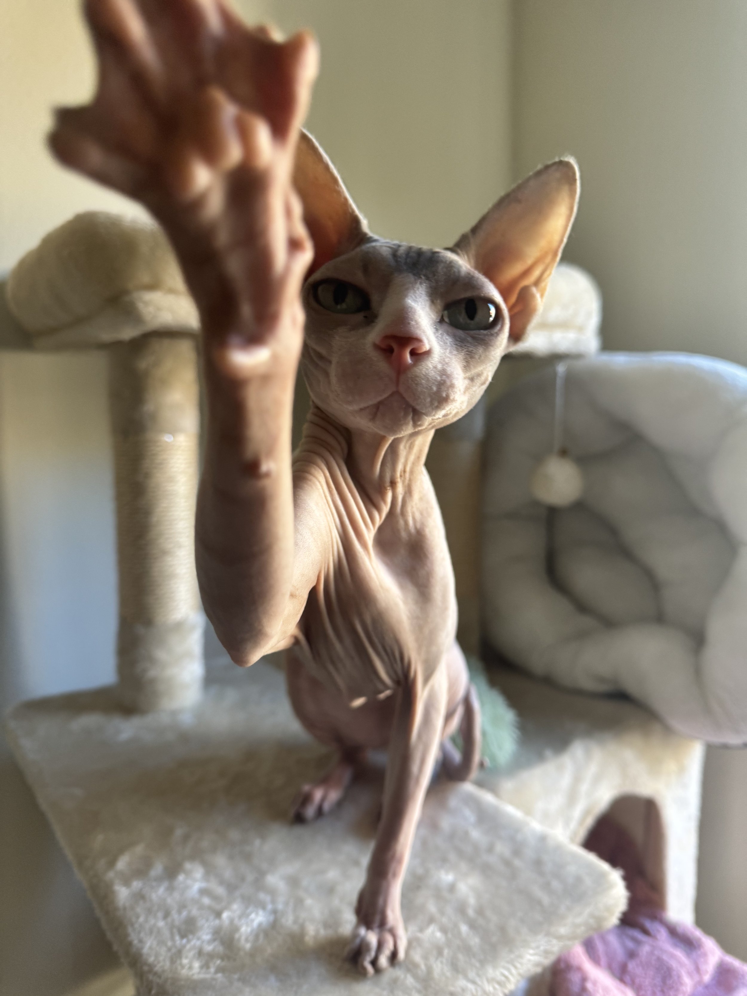 IMG_3891.jpeg
