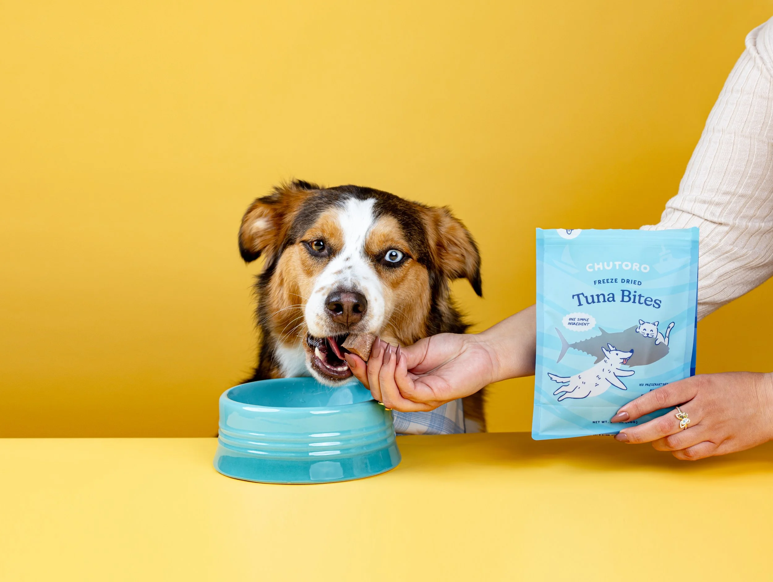 Pet Product Photography in Orange County | Chutoro Pets 