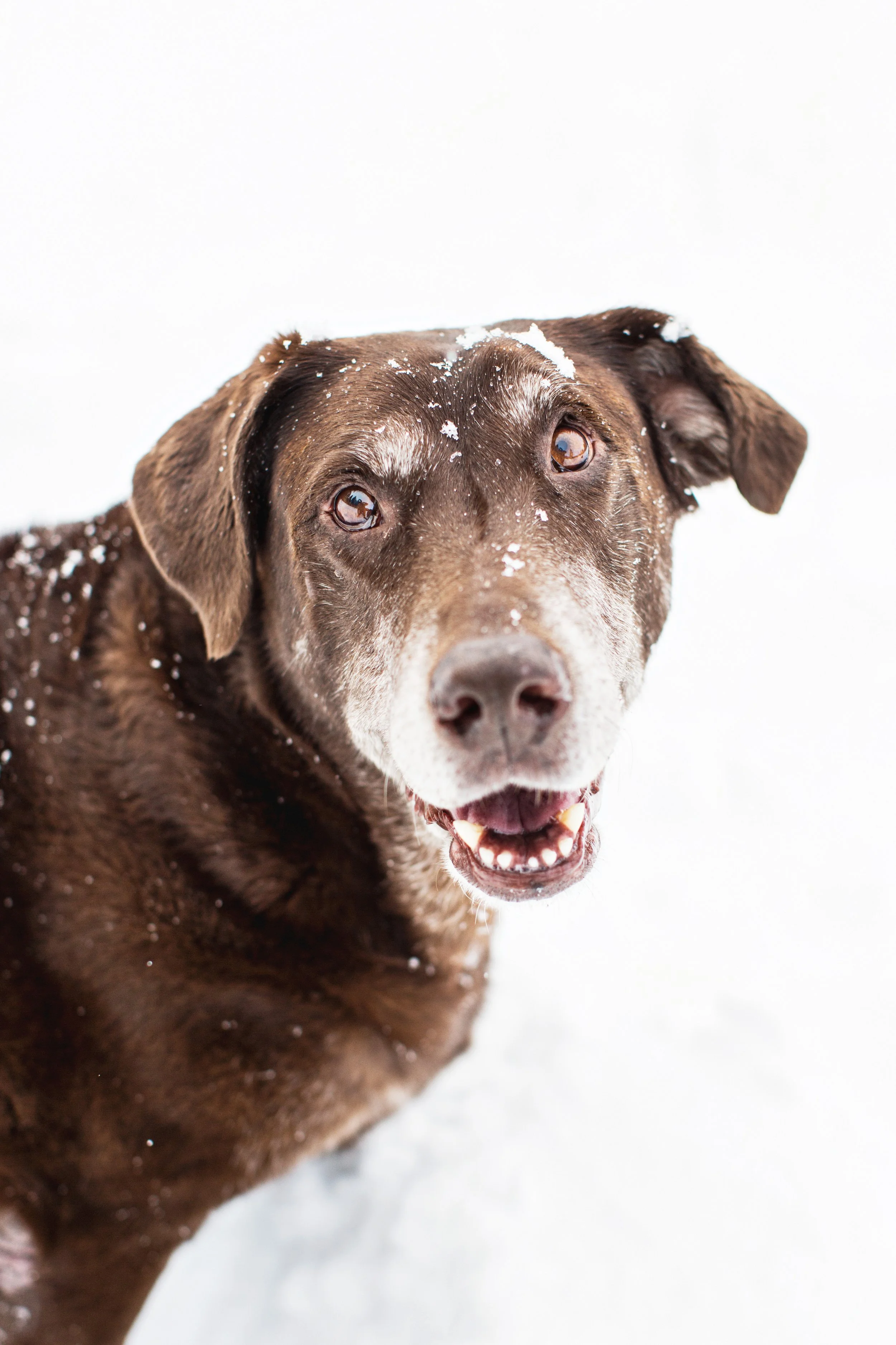Addie -77.jpg