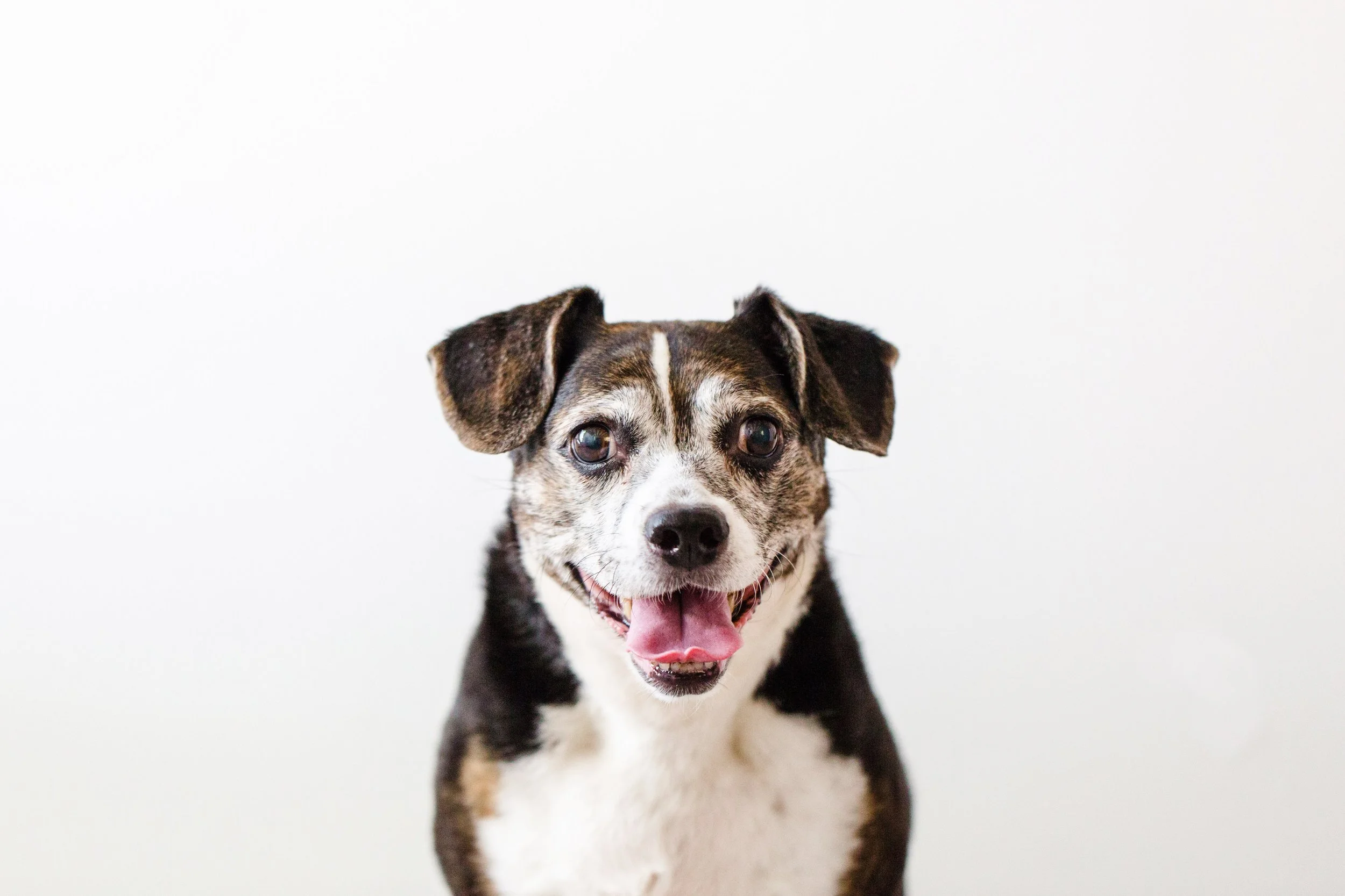 Bobby and Beasly -26.jpg