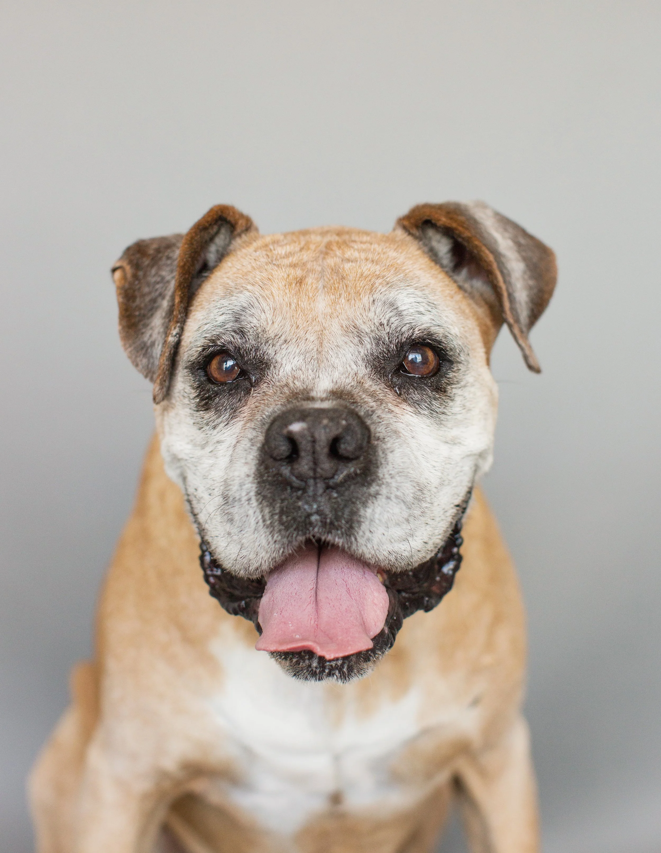 March Salty Dog -131.jpg