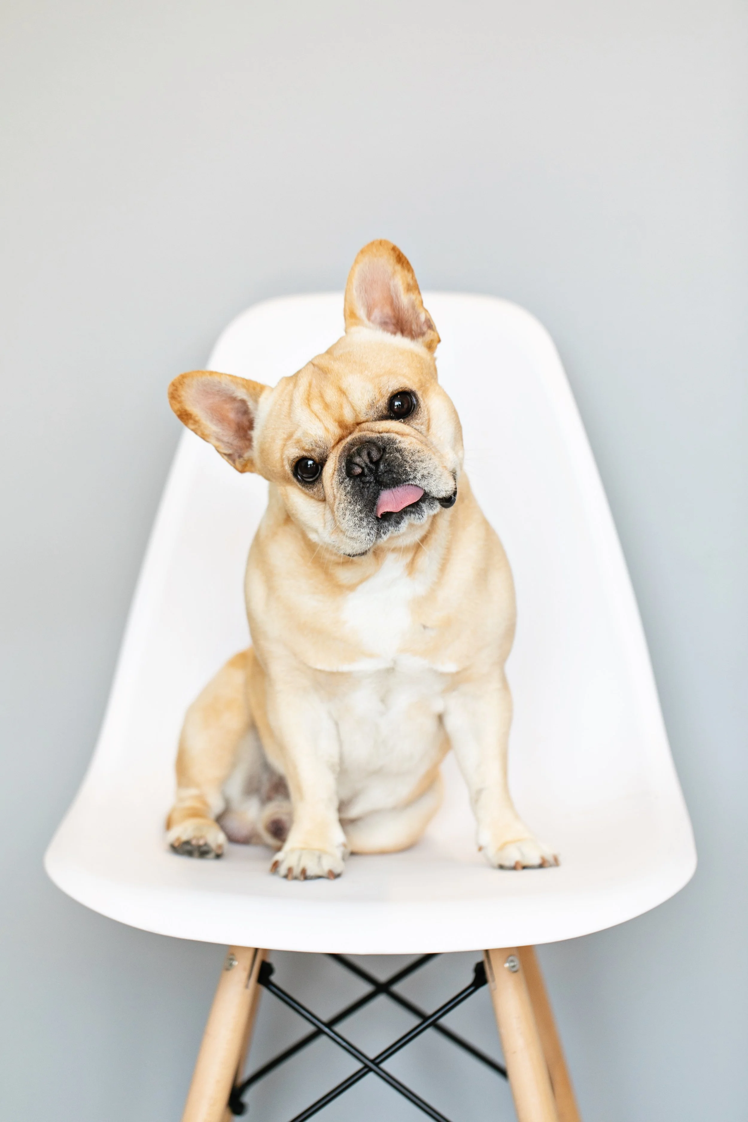 The Salty Dog Studio Minis -64.jpg