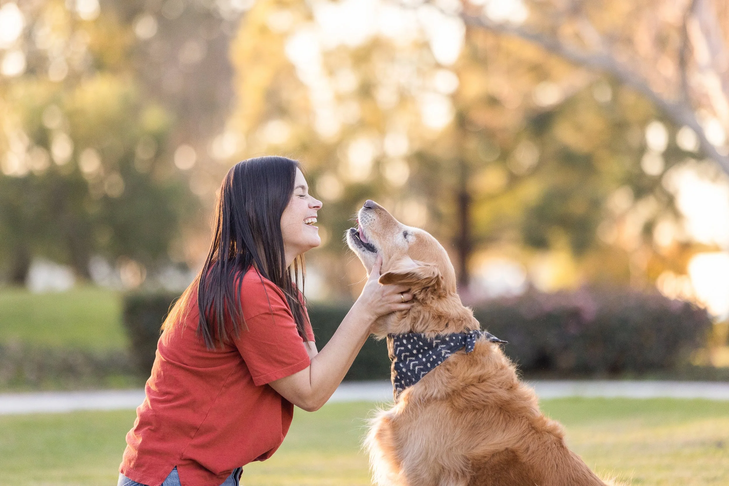 A woman with long dark hair and a red shirt holding a large golden retriever dog that is sitting on its hind legs, wearing a polka dot bandana, in a park with blurred trees in the background during gold and sunset lighting.