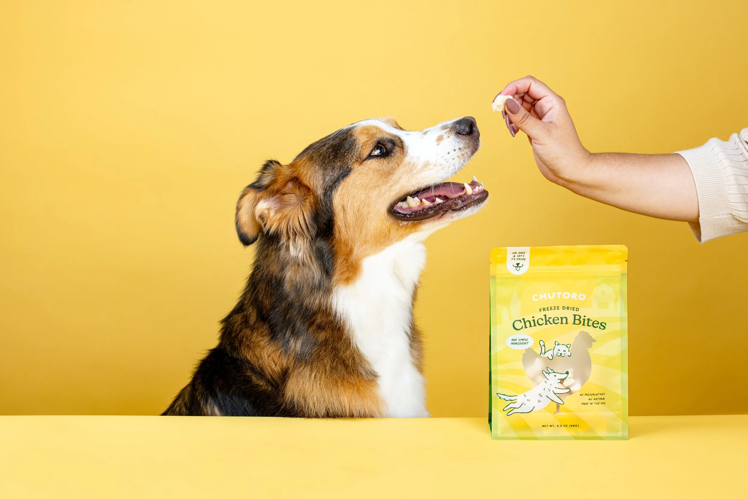 Commercial Dog Photographer Pet Treats7.JPG