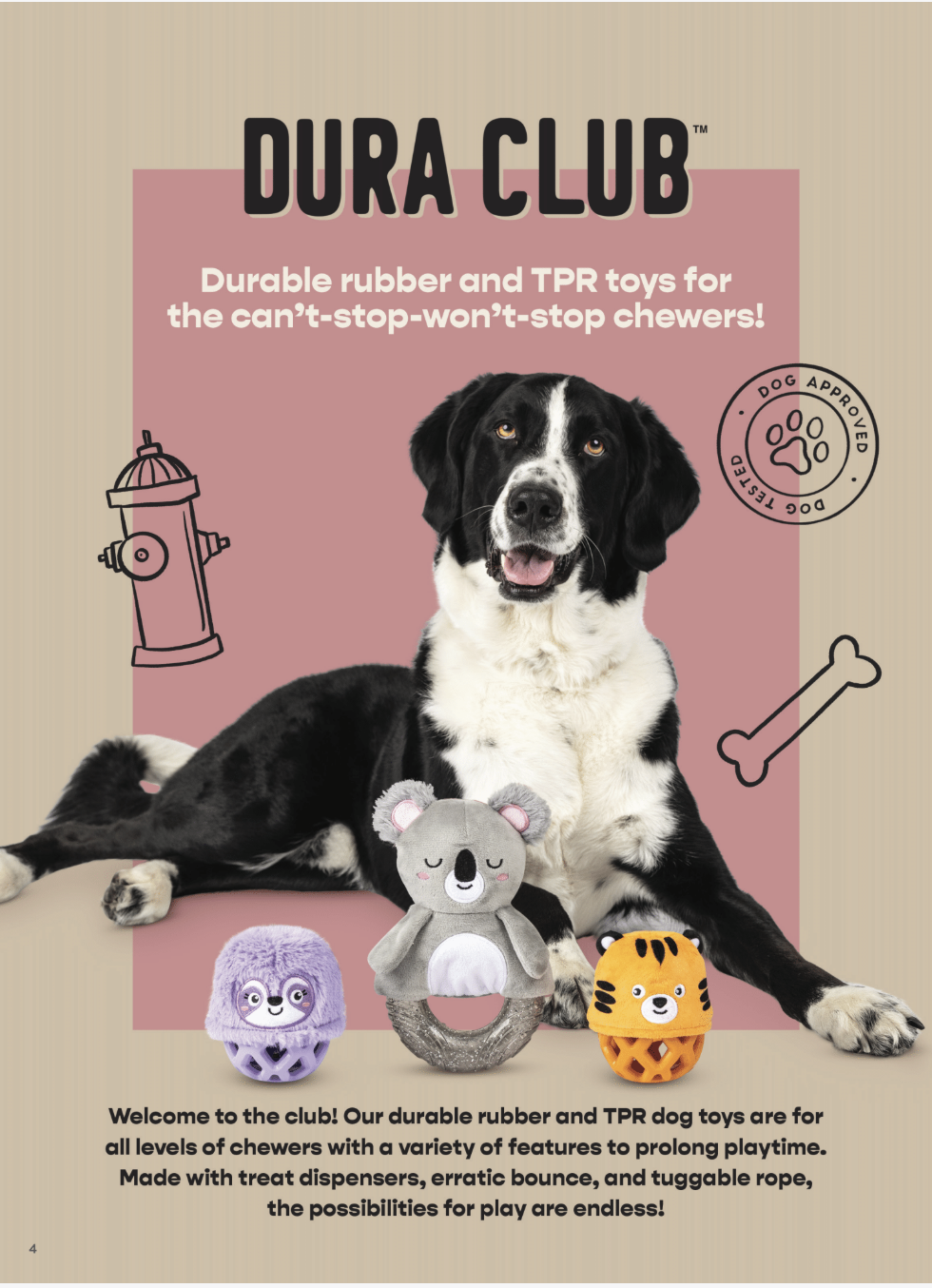 Commercial Dog Pet Photographer_2.png