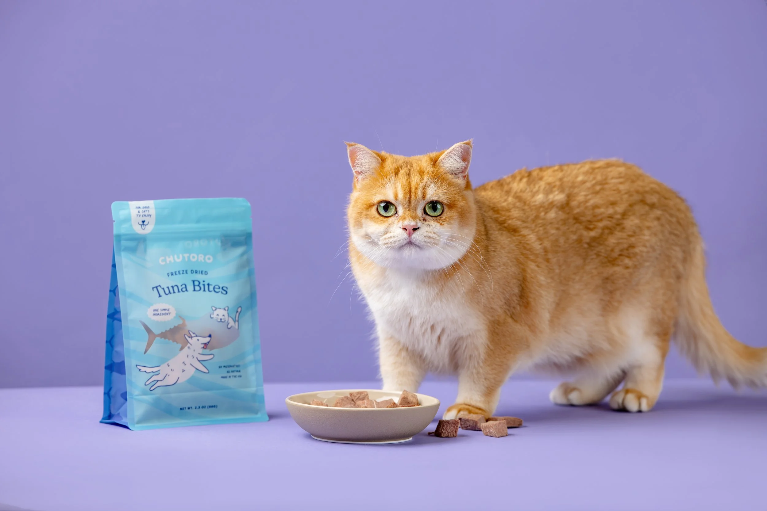 Commercial Dog Photographer Pet Treats1.JPG