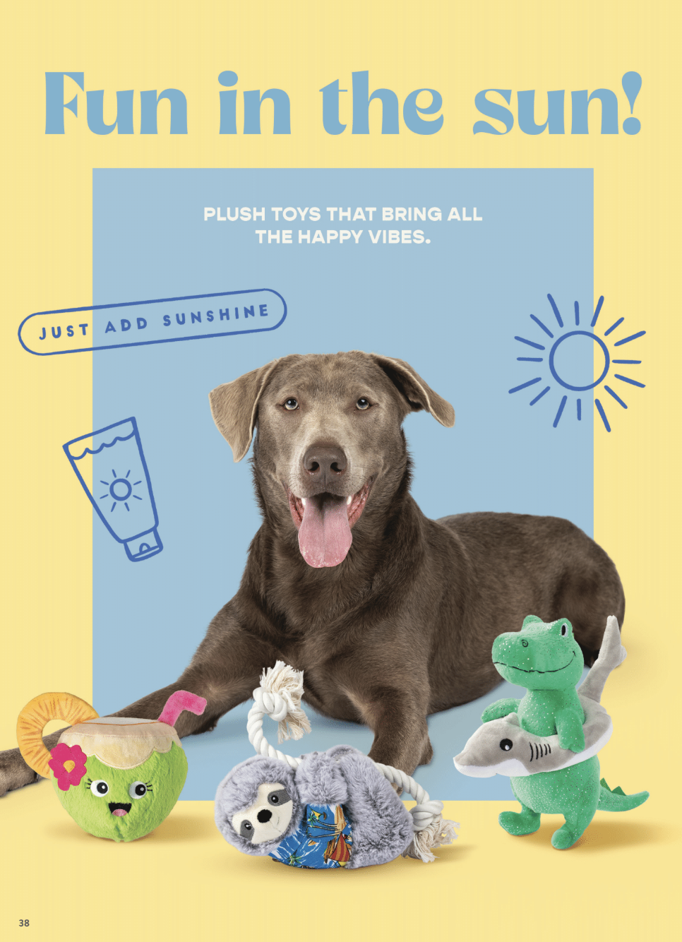 Commercial Dog Pet Photographer_11.png