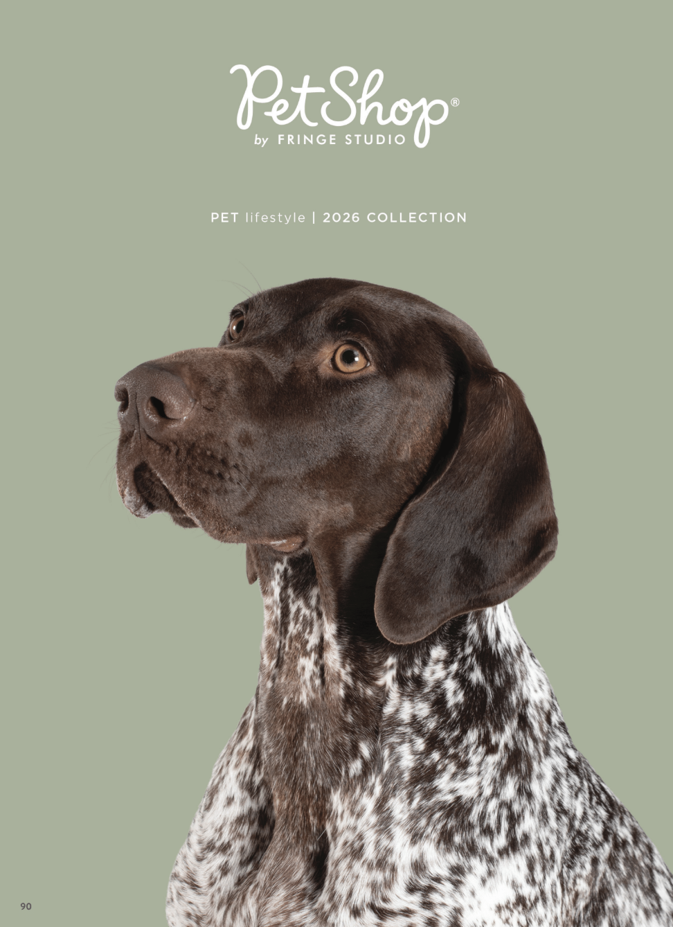 Commercial Dog Pet Photographer_1.png