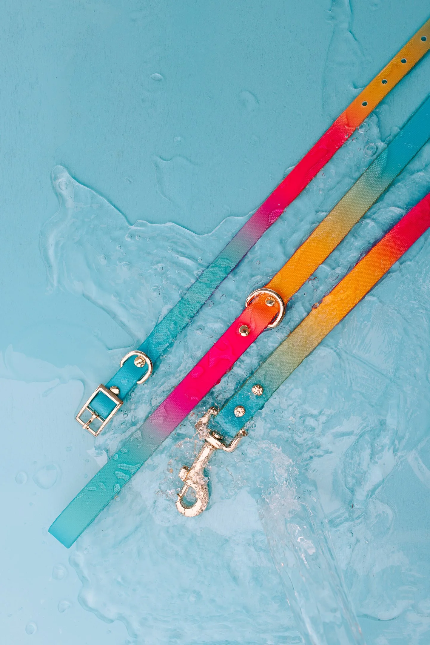 Colorful dog collars placed in water, with some collars showing metallic hardware like buckles and hooks, on a blue background.