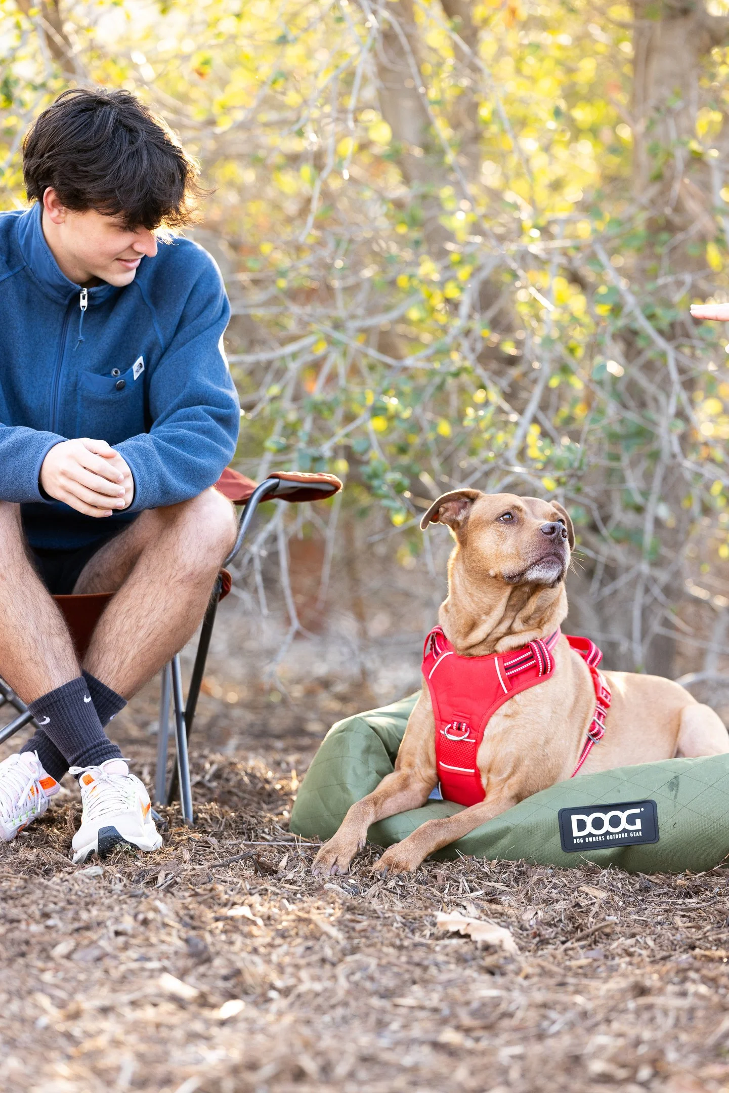 The Salty Dog Studio Dog Photographer_0027.jpg
