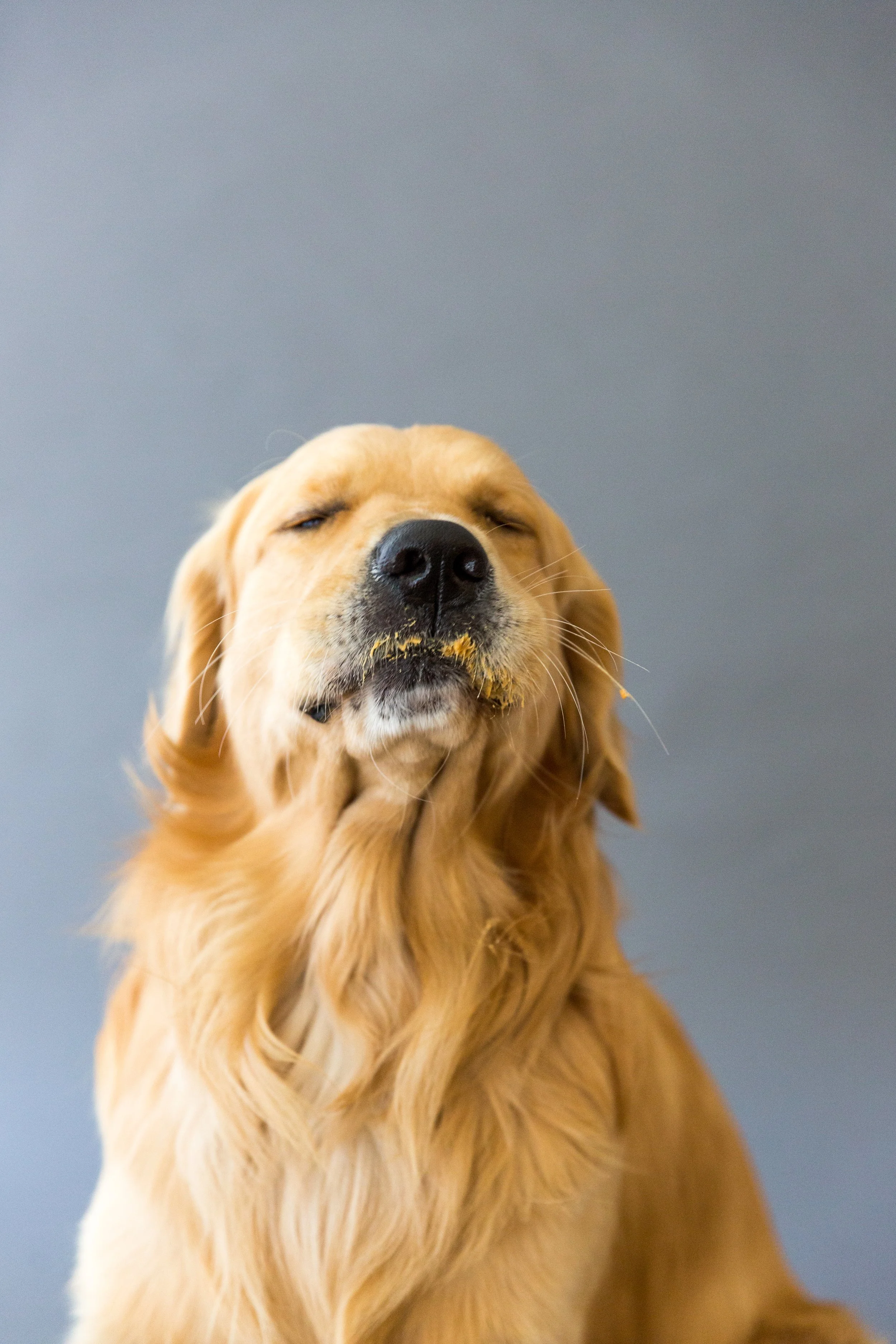 OC Dog Photographer-Funny Photo Outtakes_7.jpg