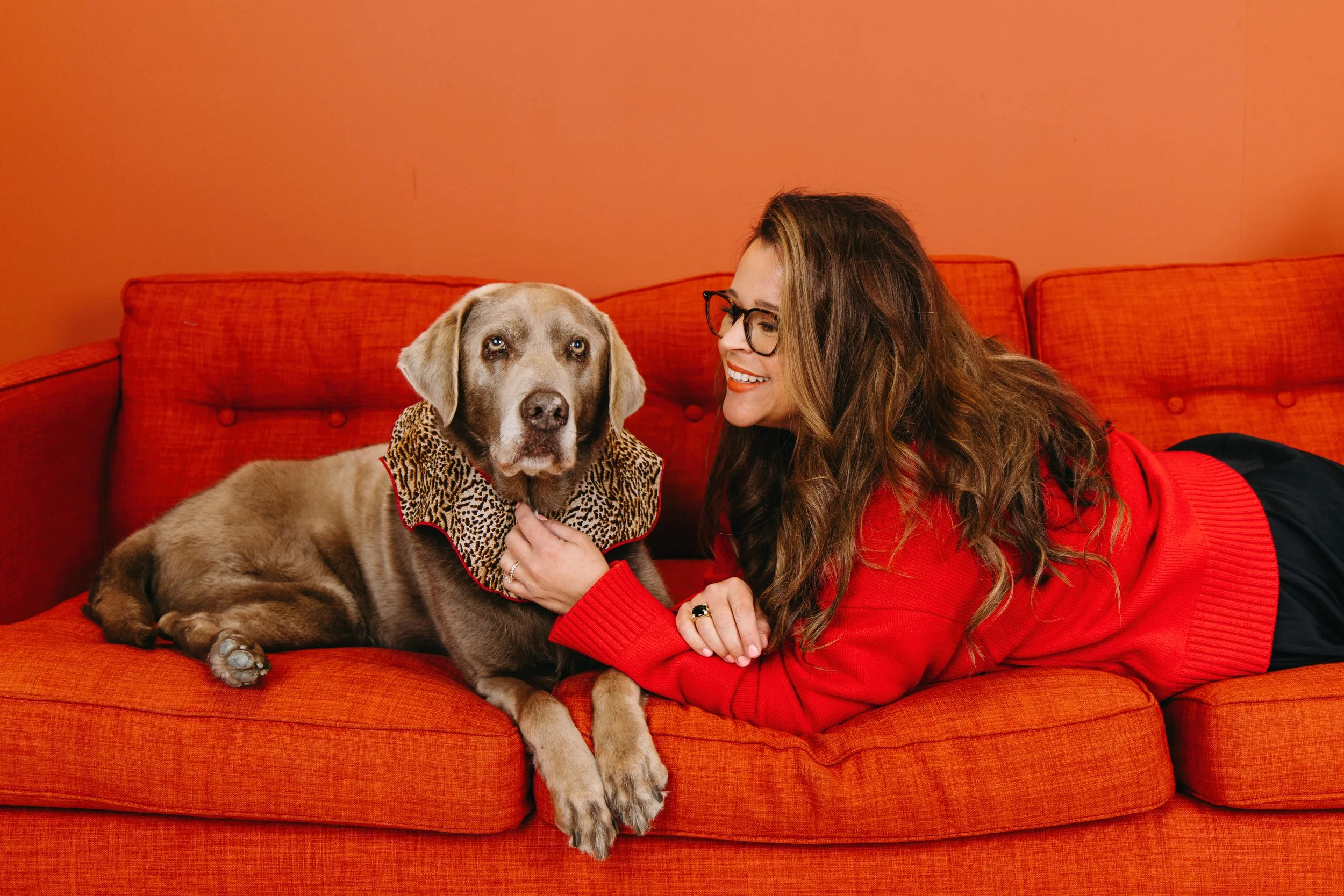 Southern California Dog Photographer Commercial Pet Photographer Orange County Pet Photographer