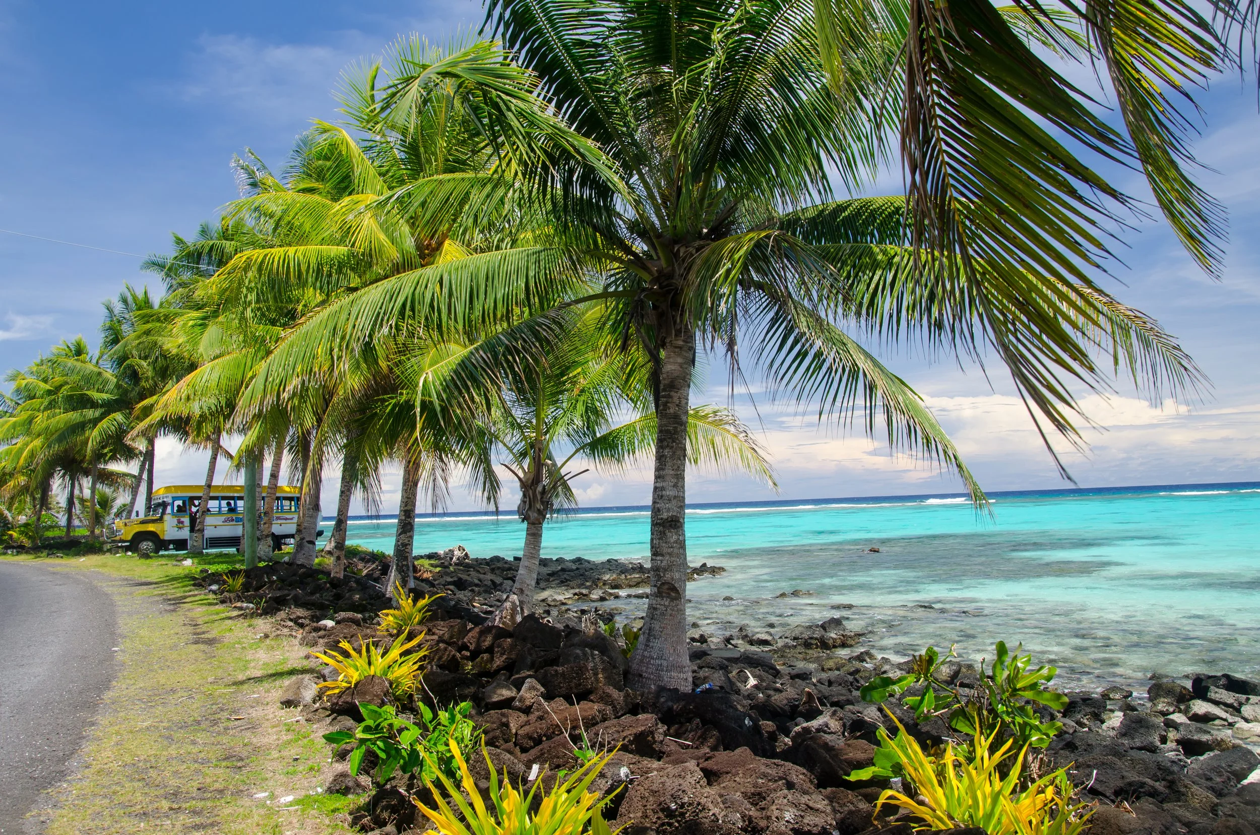 Palm trees along a rocky shoreline with turquoise ocean water and a blue sky in the background, including a yellow and blue tourist bus parked on a dirt road.