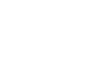 Logo for Professional Aviation Training Academy Malta with stylized lines and airplane graphic.