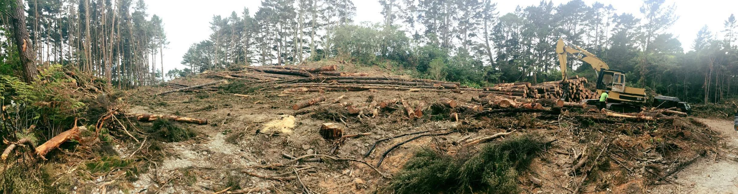 A forest area where trees have been cut down, with logs and debris scattered on the ground. A yellow excavator is visible on the right side, operated by a worker in a neon green safety vest and helmet, surrounded by a backdrop of tall trees and overcast sky.