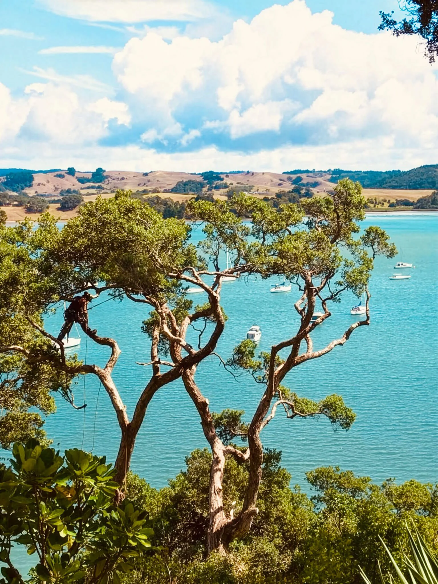 A scenic view of a bay with boats anchored in turquoise water, surrounded by green trees and rolling hills under a partly cloudy sky.
