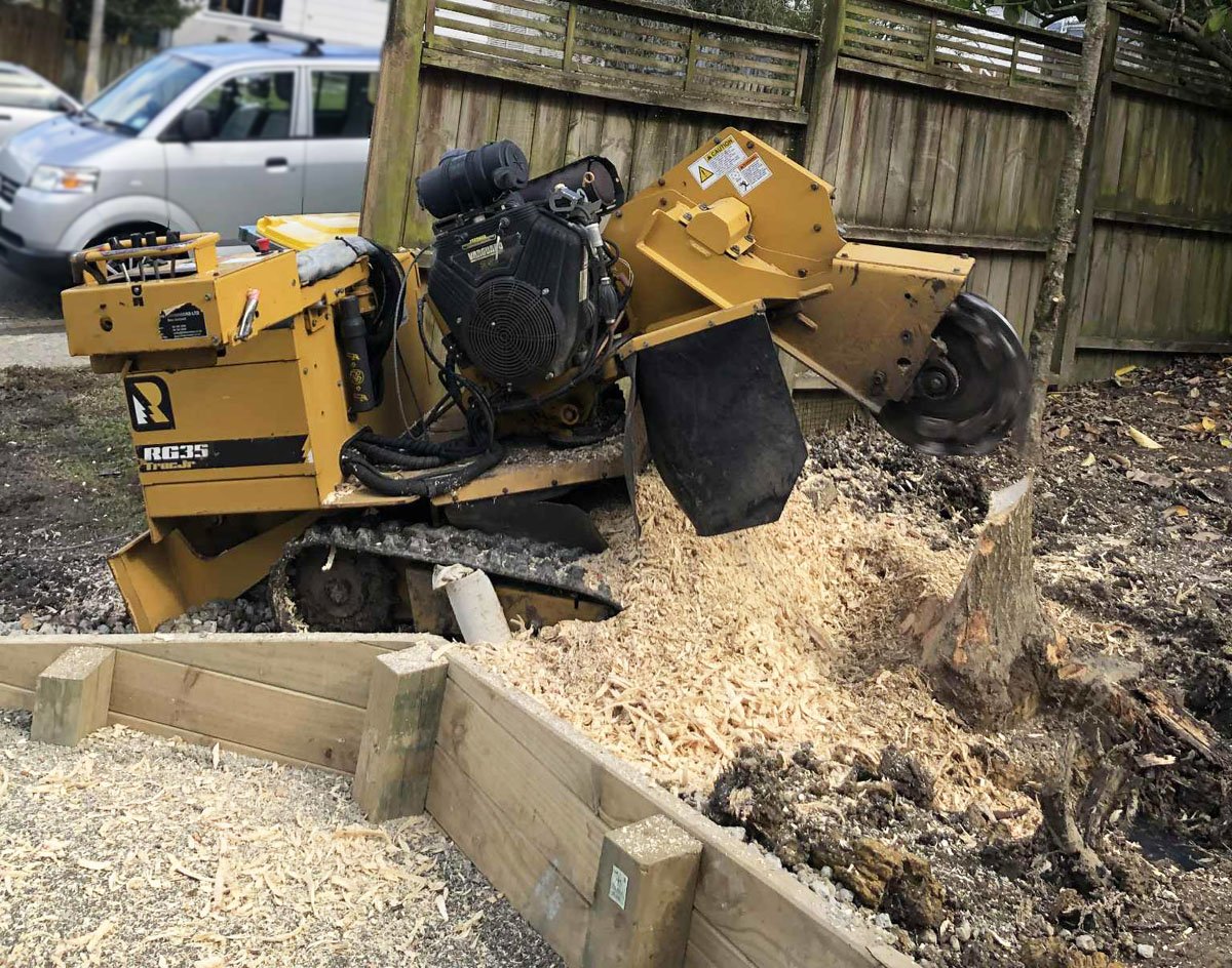 A walk-behind concrete saw cutting through a tree stump outdoors, with wood chips scattered around, wooden barriers in the foreground, and a wooden fence and parked cars in the background.