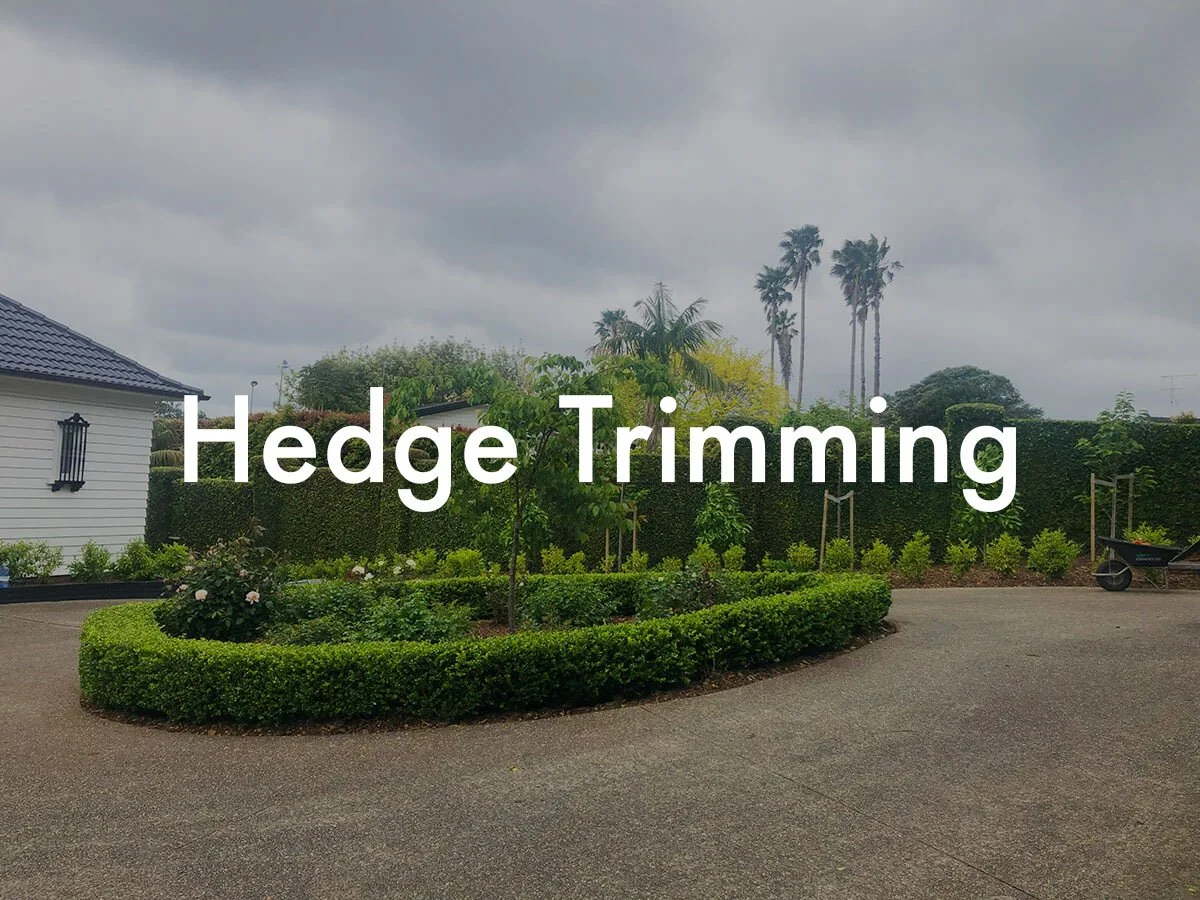hedge-trimming-shortcut-web.jpg