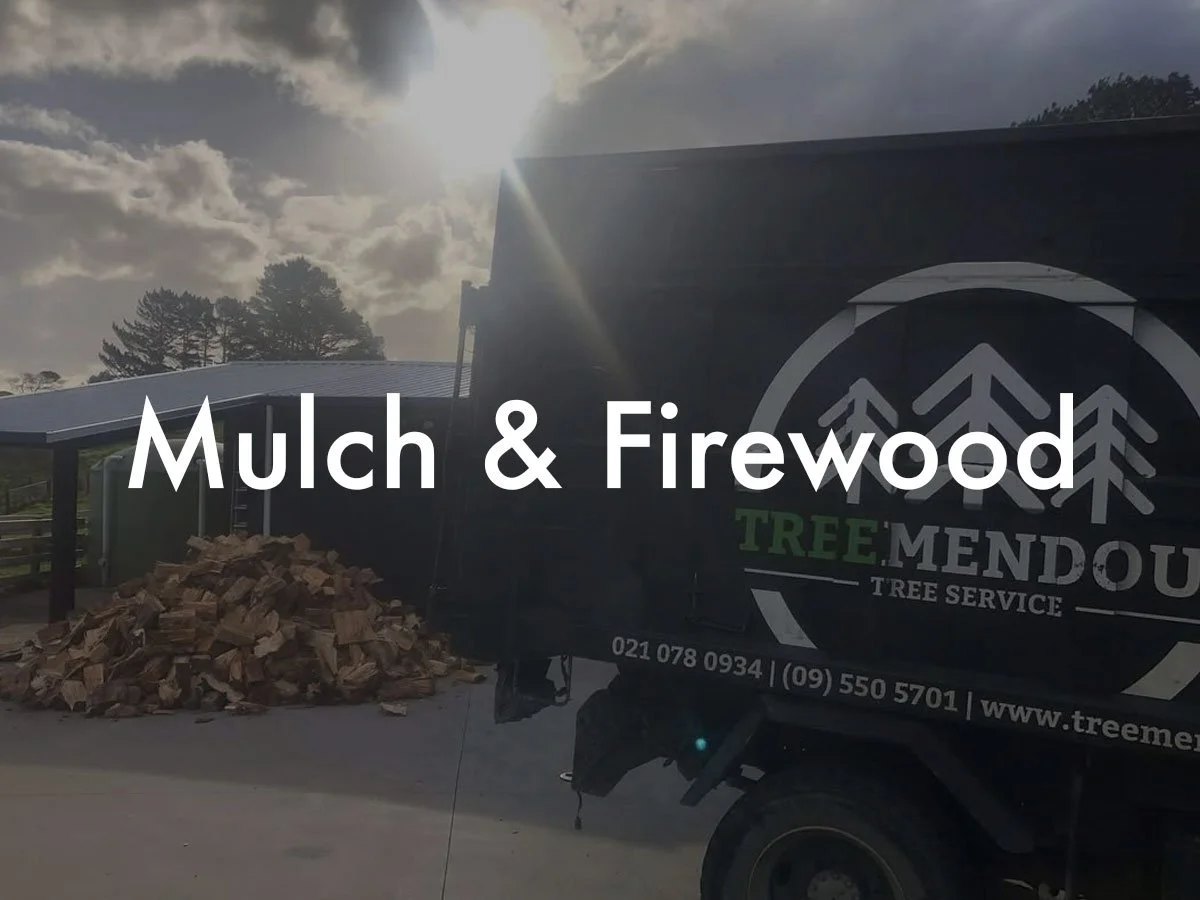mulch-and-firewood.jpg