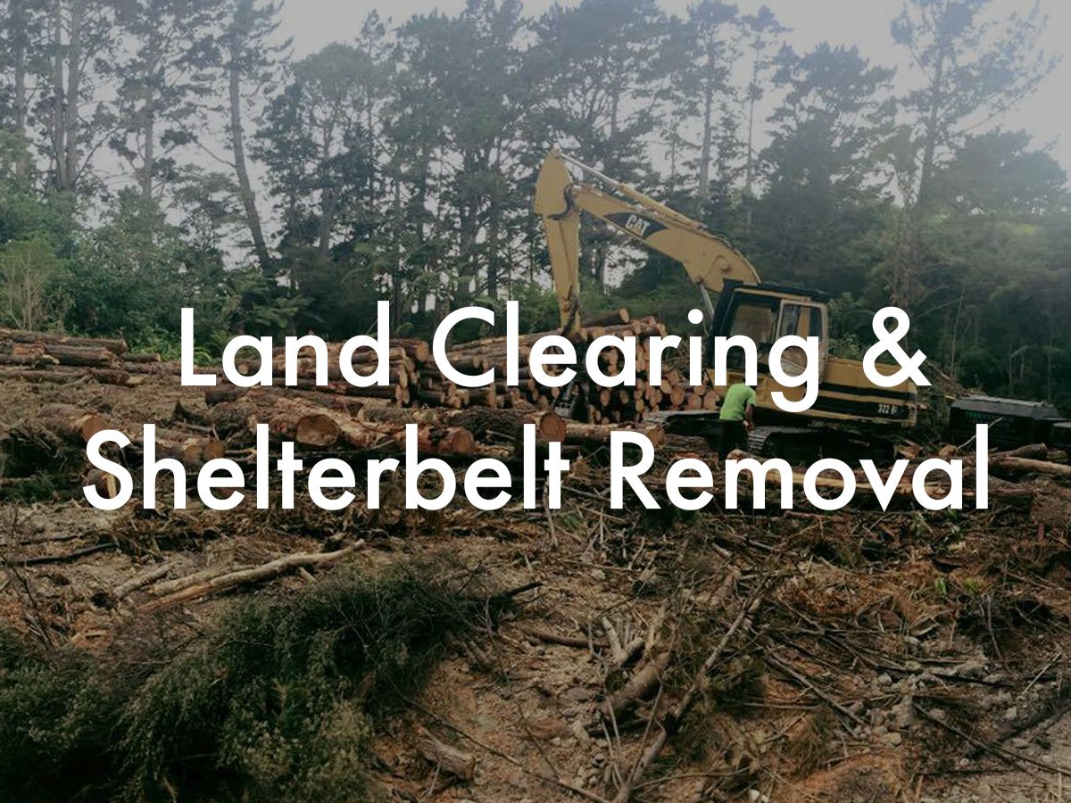 land-clearing-shelterbelt-removal.jpg
