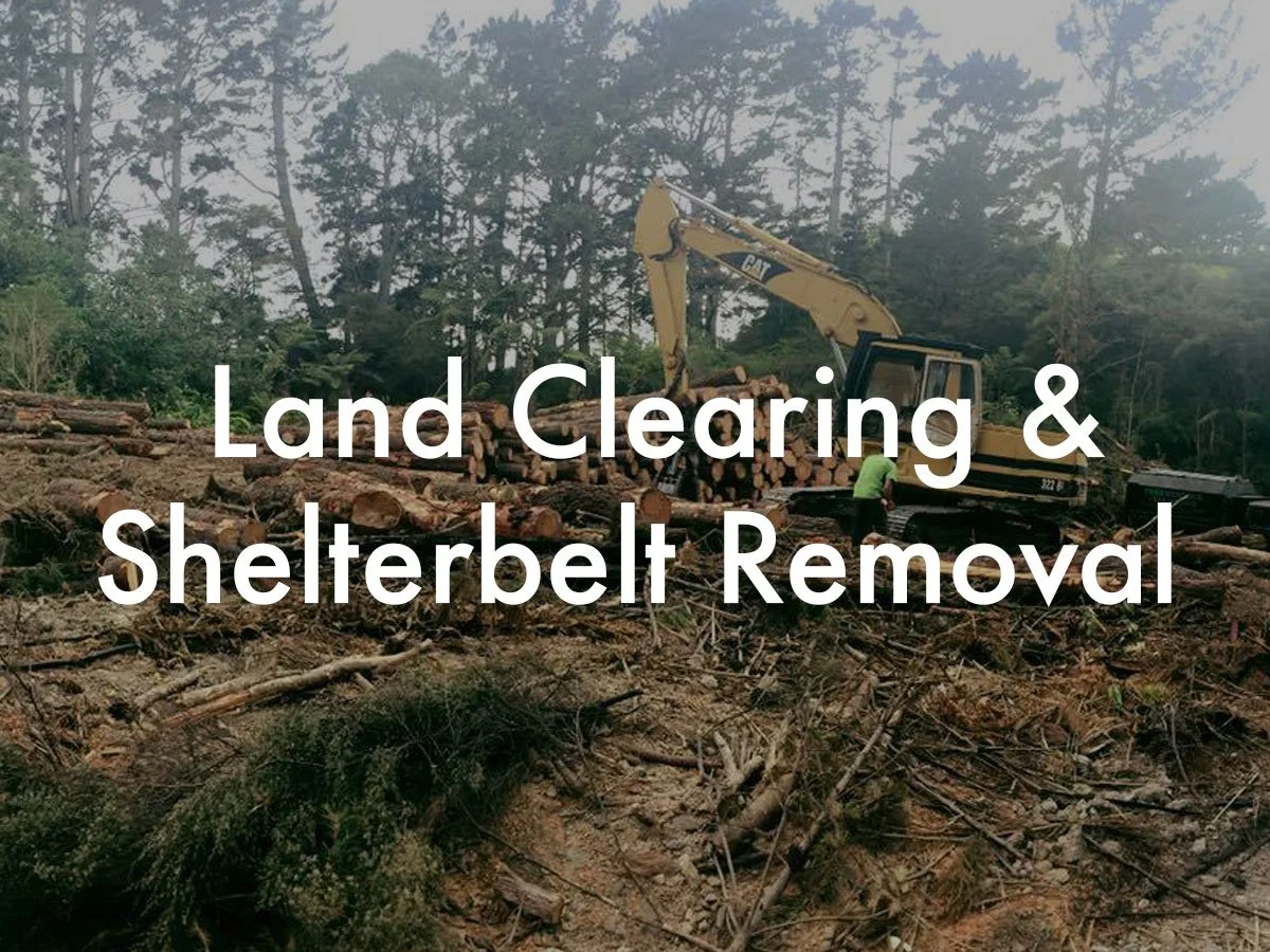 land-clearing-shelterbelt-removal.jpg